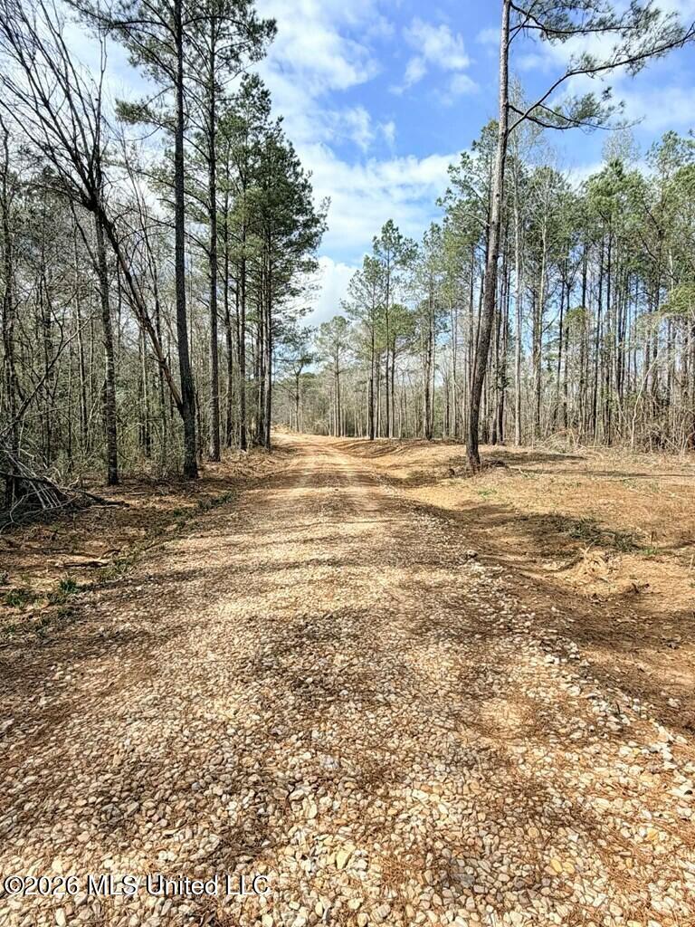Antler Ridge Drive Property Photo 4