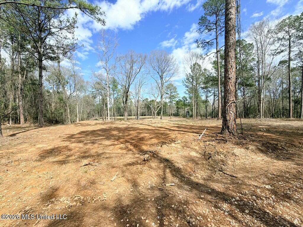 Antler Ridge Drive Property Photo 5