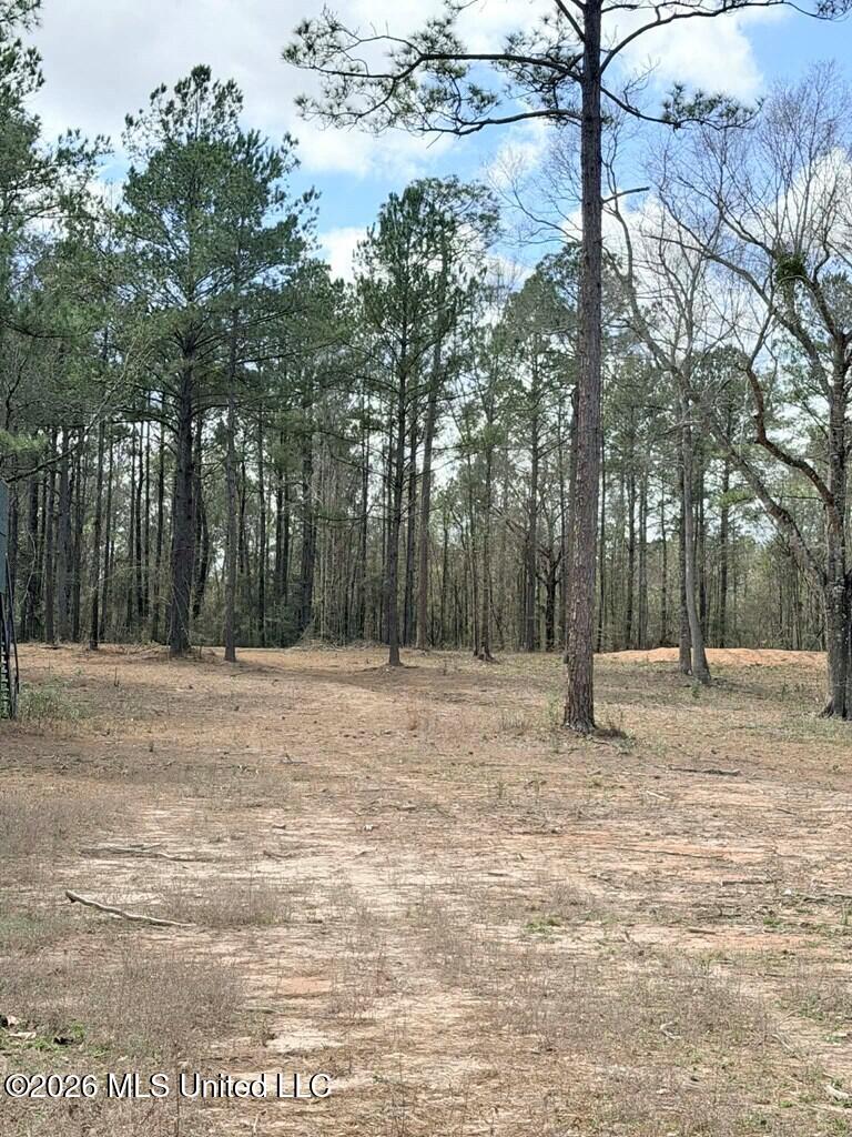 Antler Ridge Drive Property Photo 6
