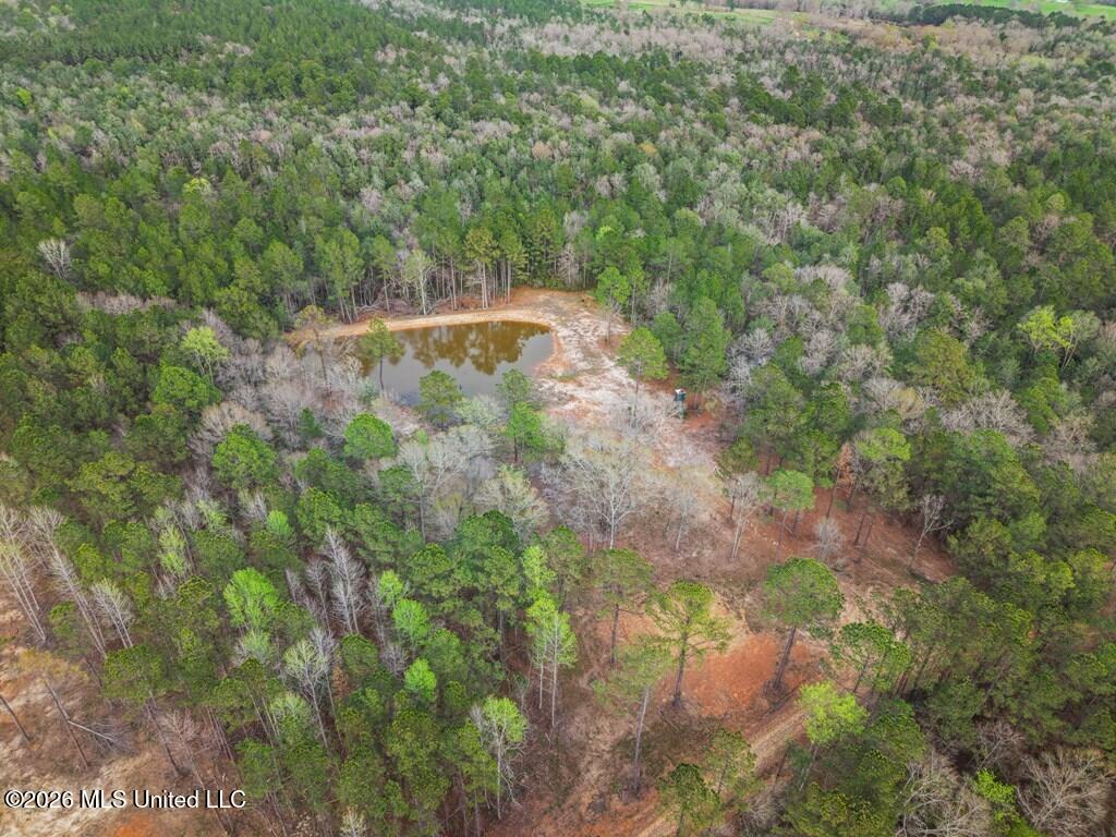 Antler Ridge Drive Property Photo 7