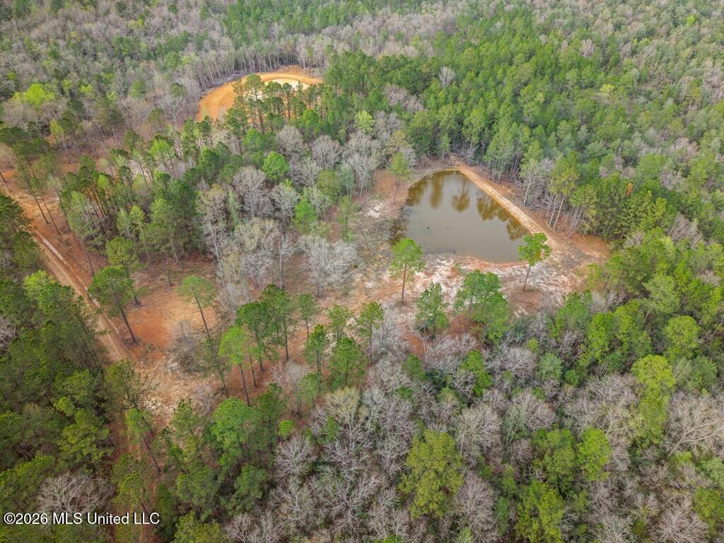 Antler Ridge Drive Property Photo 8
