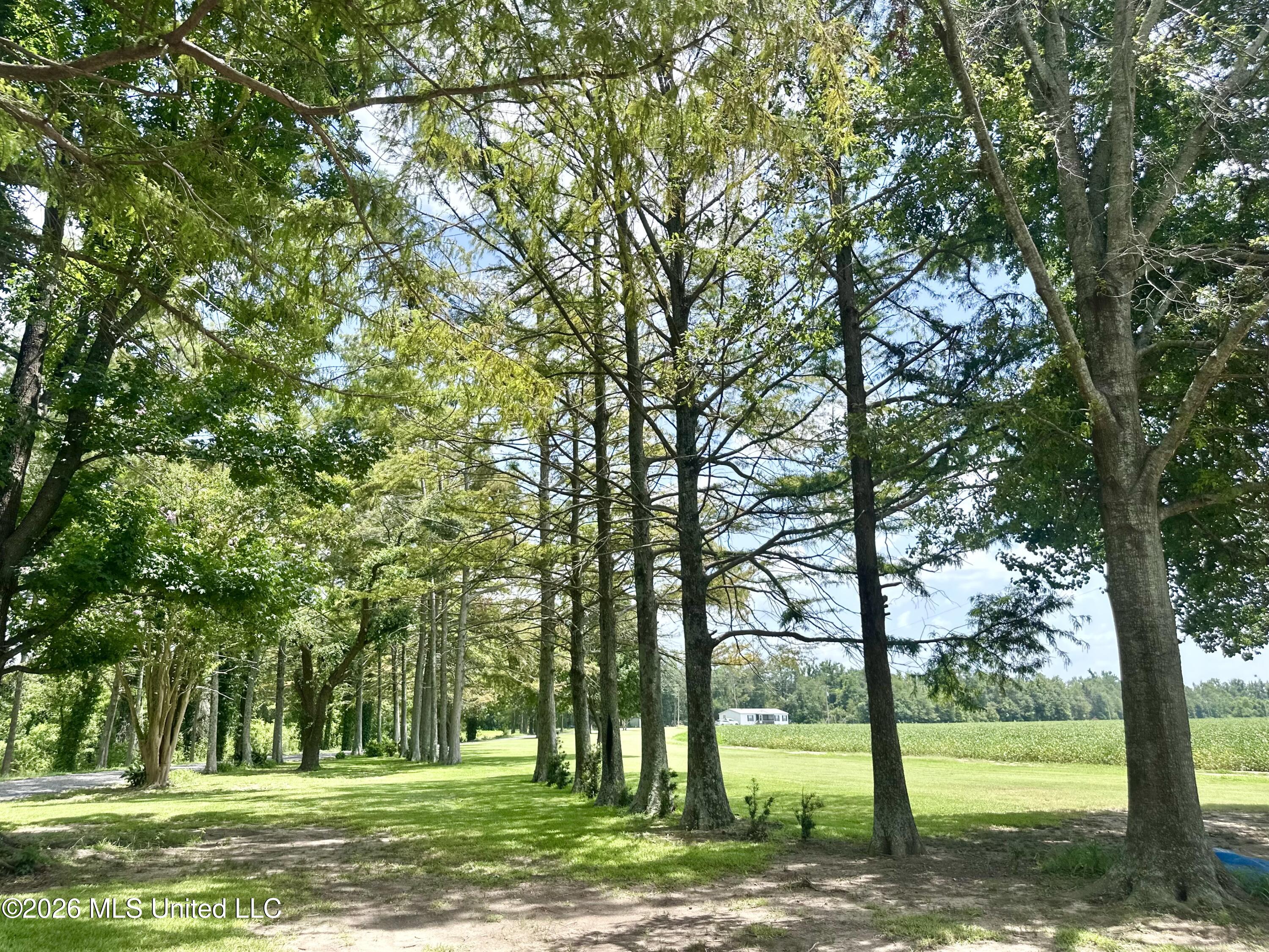 1592 Richland Road Property Photo 60