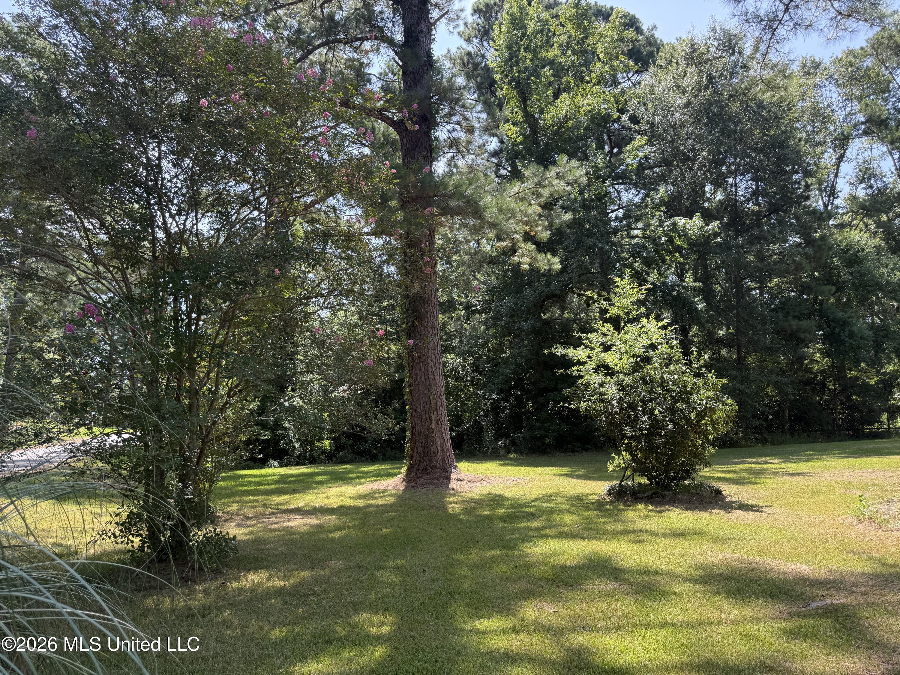 912 River Road Est Property Photo 26