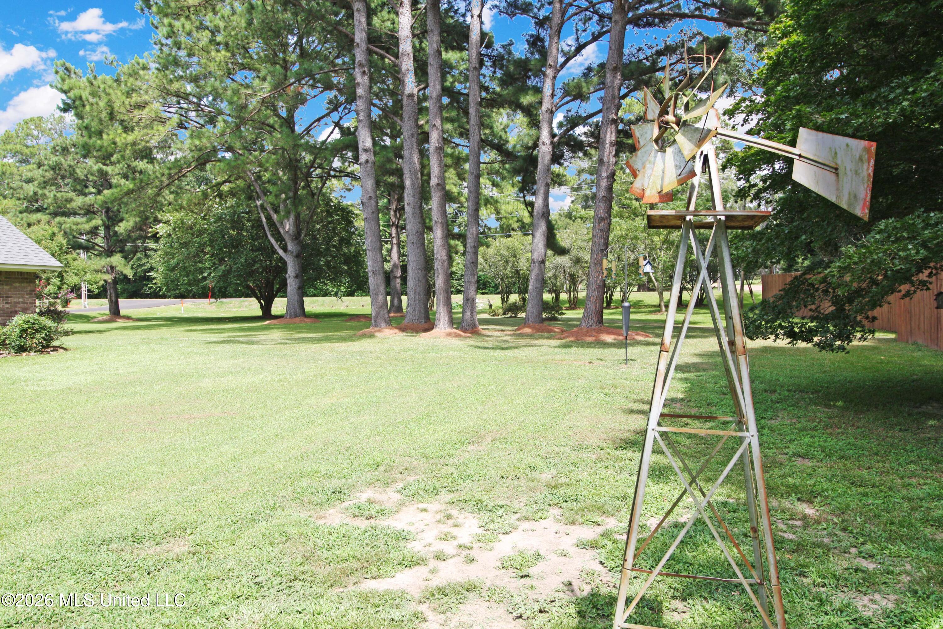 101 Pinehaven Place Property Photo 47