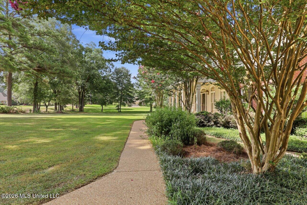 108 Blueberry Hill Lane Property Photo 8