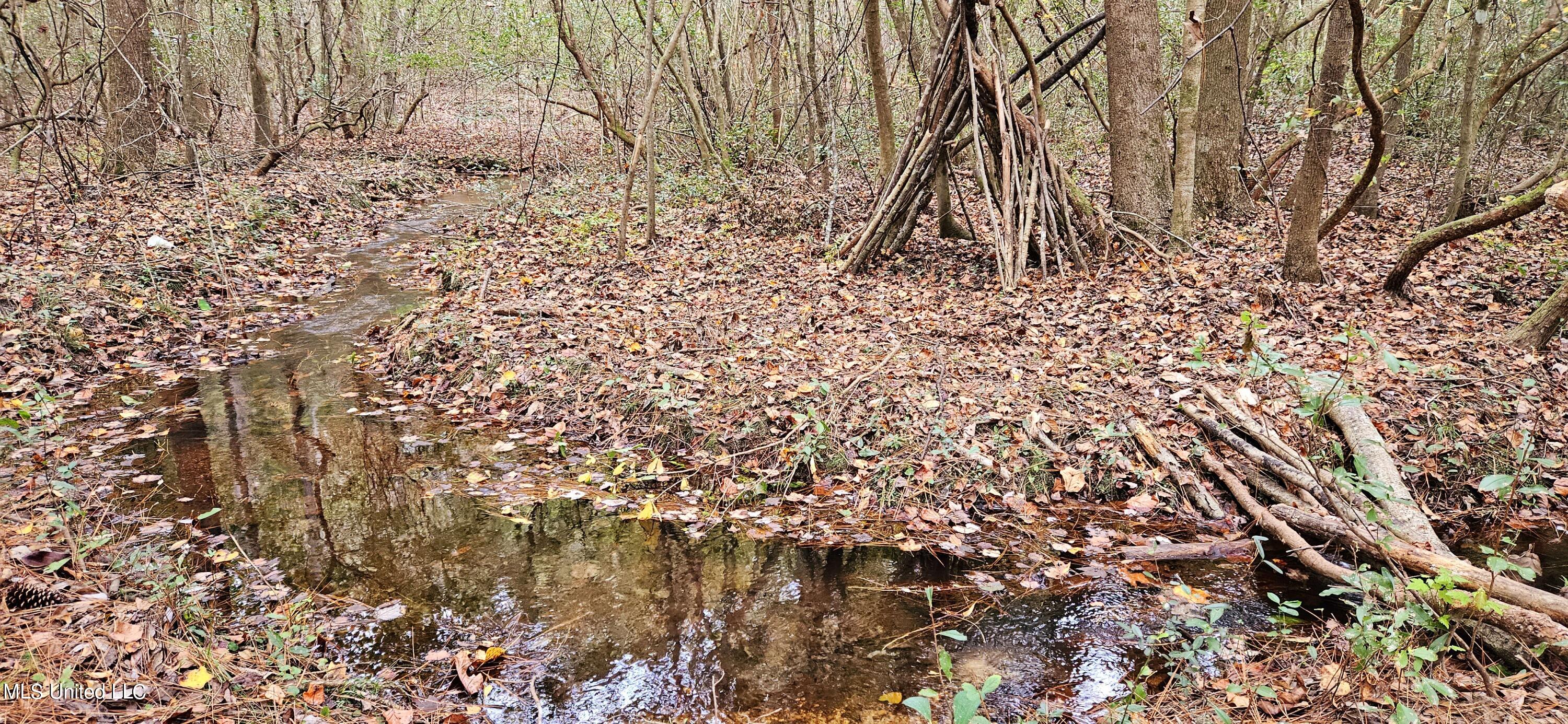 Nhn Firefox Property Photo 6