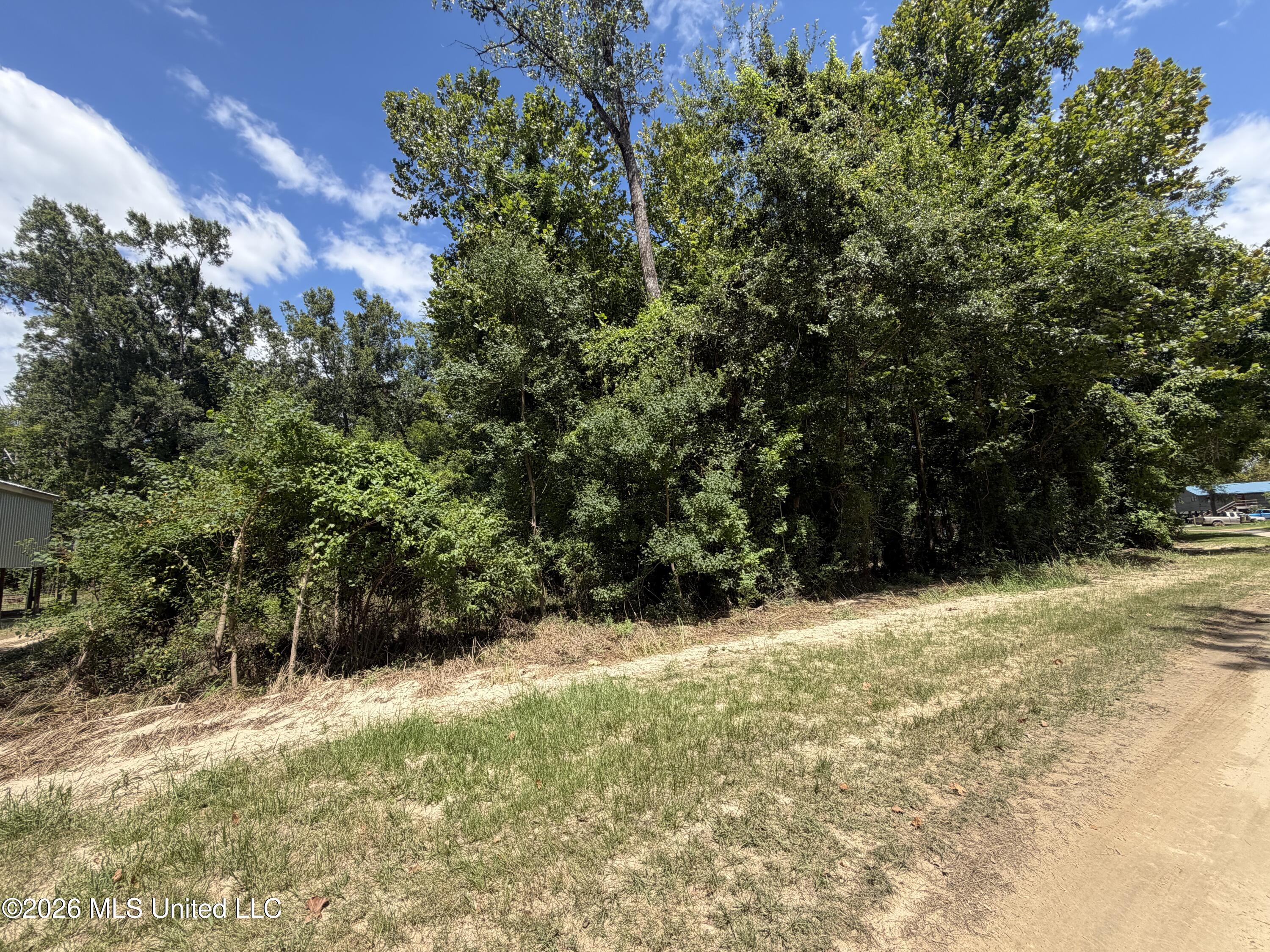 Plum Bluff Drive Property Photo 1