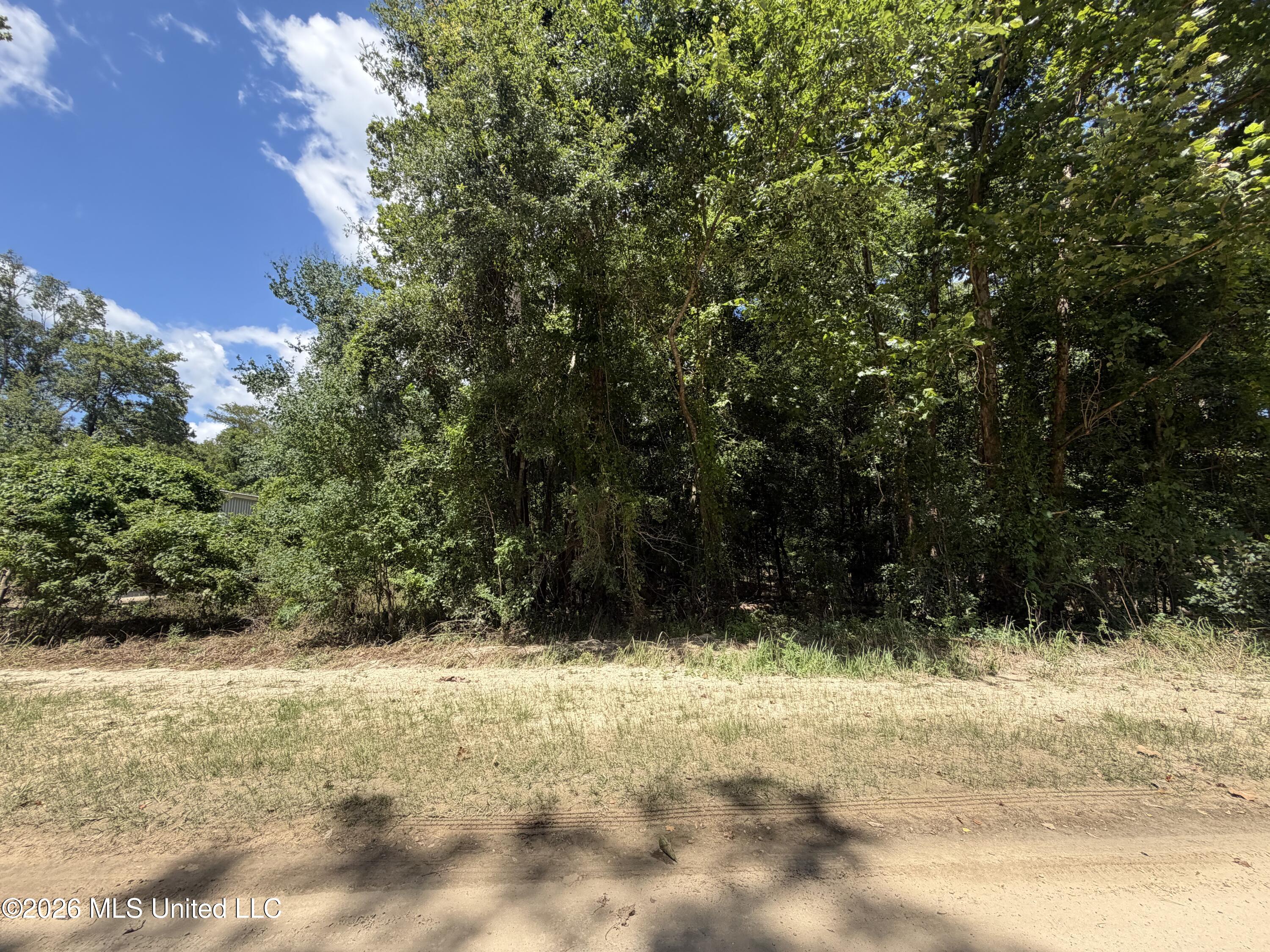Plum Bluff Drive Property Photo 2
