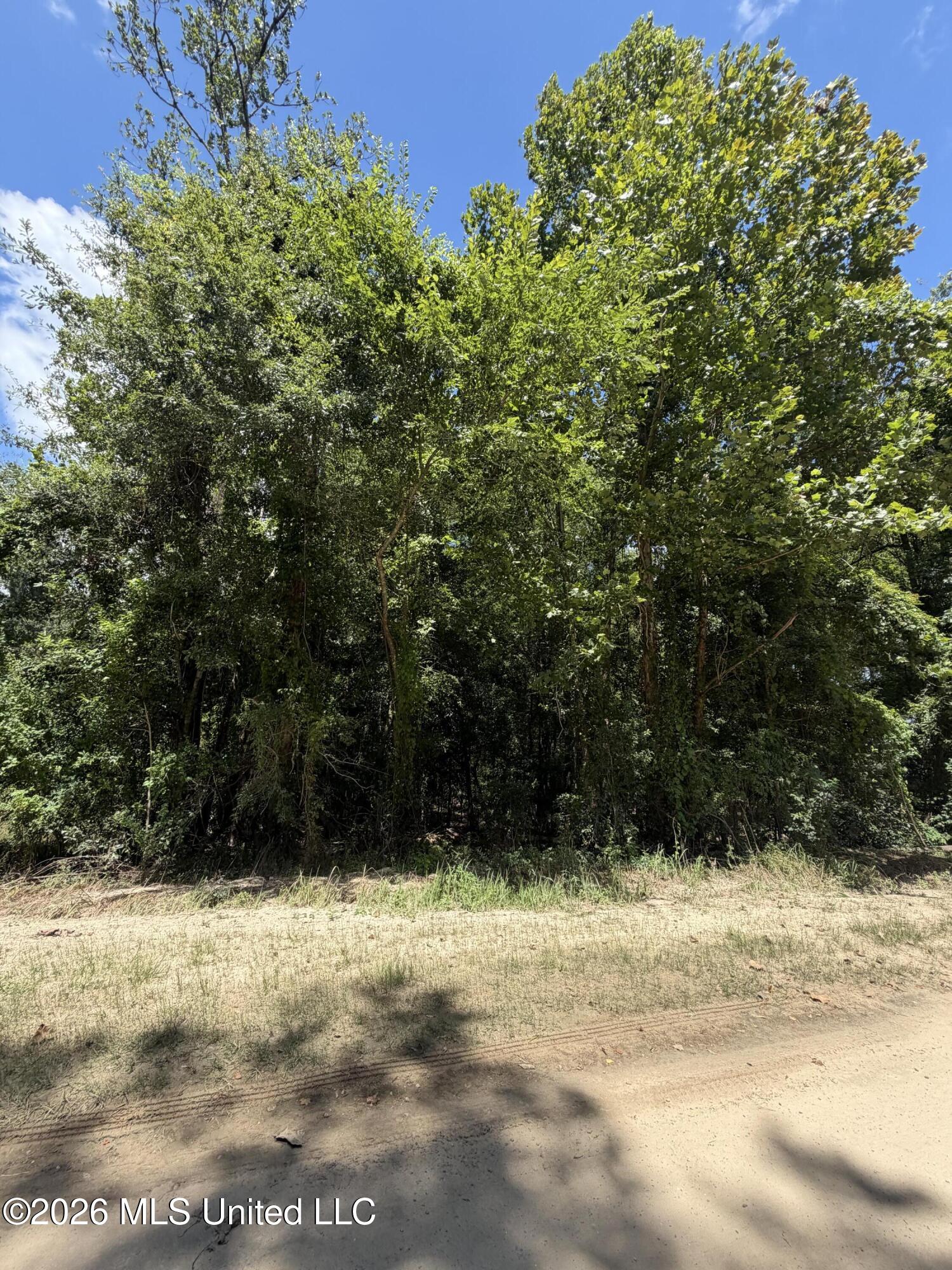 Plum Bluff Drive Property Photo 3