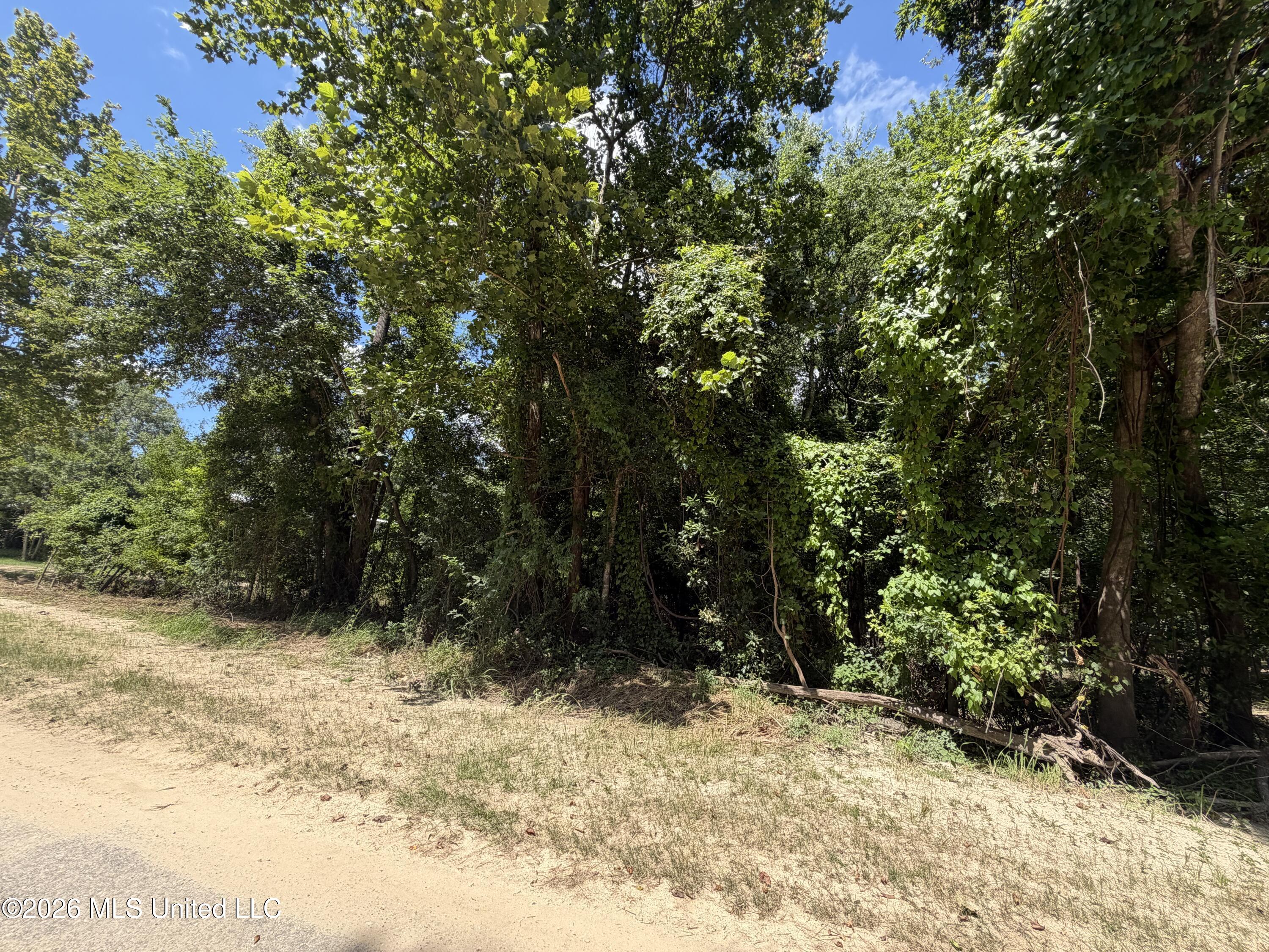 Plum Bluff Drive Property Photo 4