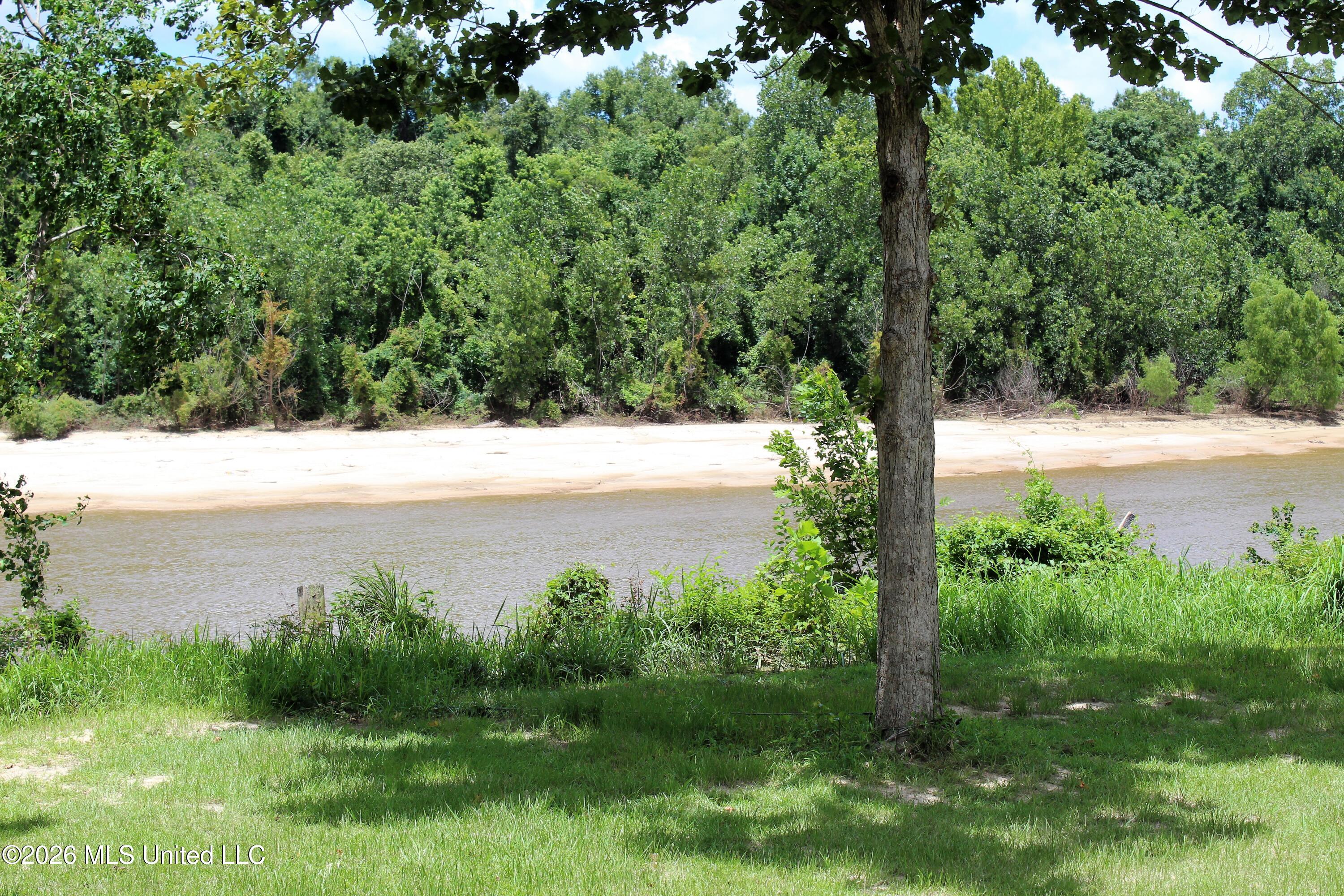 25305 Turps Drive Property Photo 17