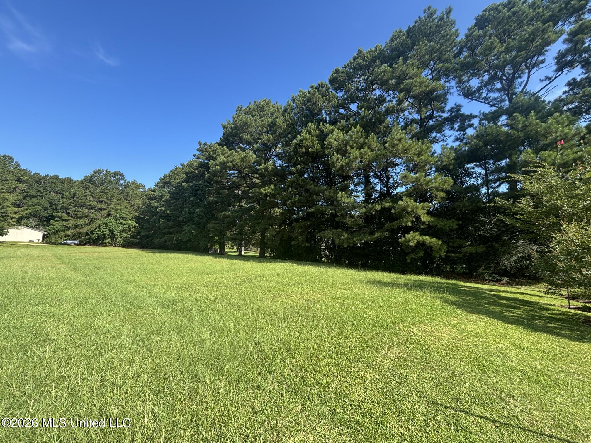 Fox Loop Drive Property Photo 3