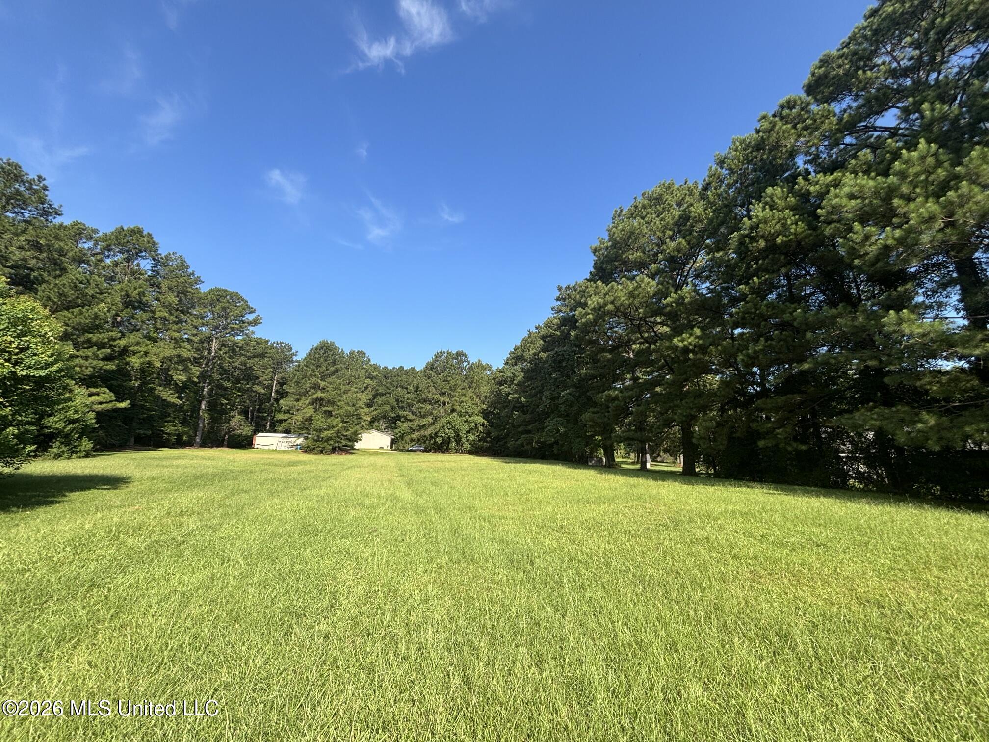Fox Loop Drive Property Photo 6