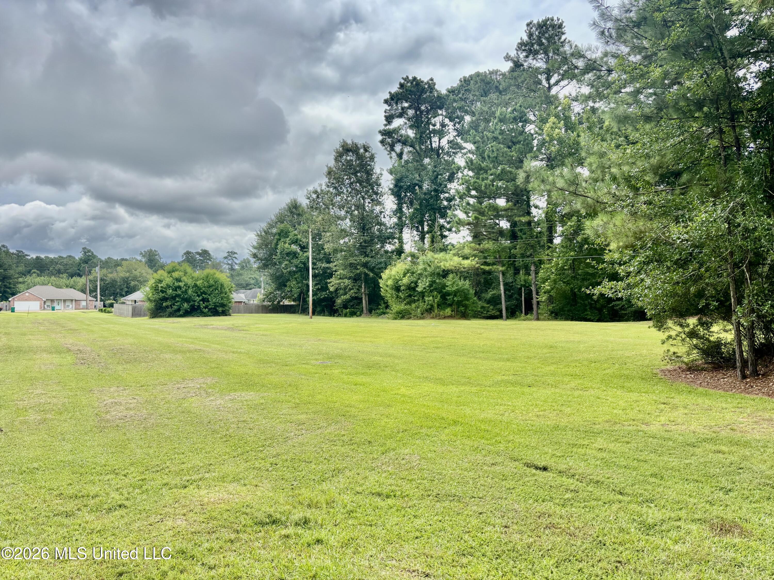 Fox Loop Drive Property Photo 8