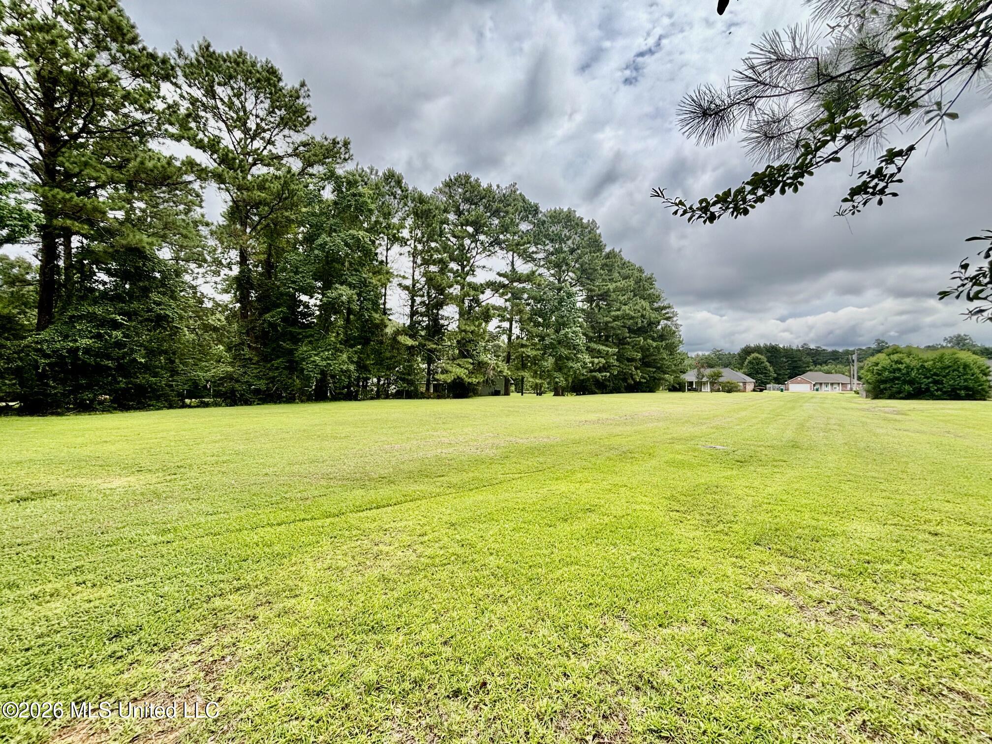 Fox Loop Drive Property Photo 9
