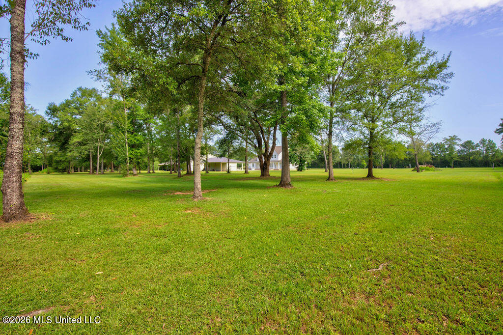 11185 Bud Lee Property Photo 89