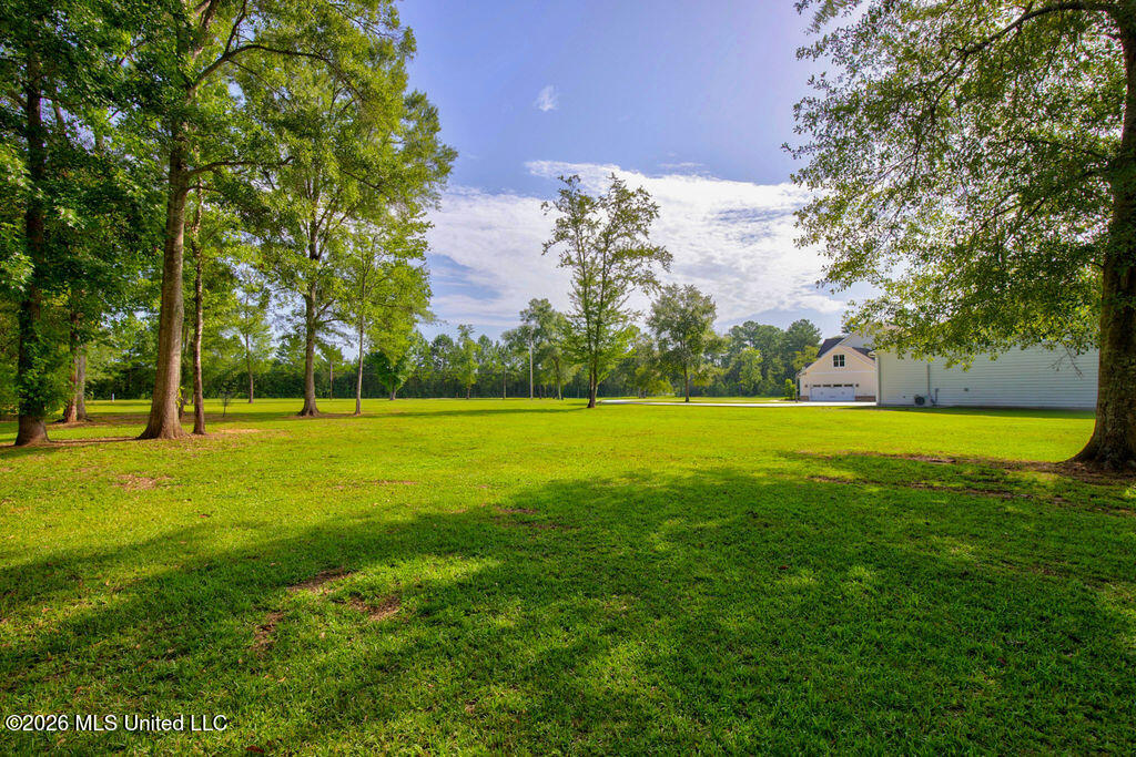 11185 Bud Lee Property Photo 99