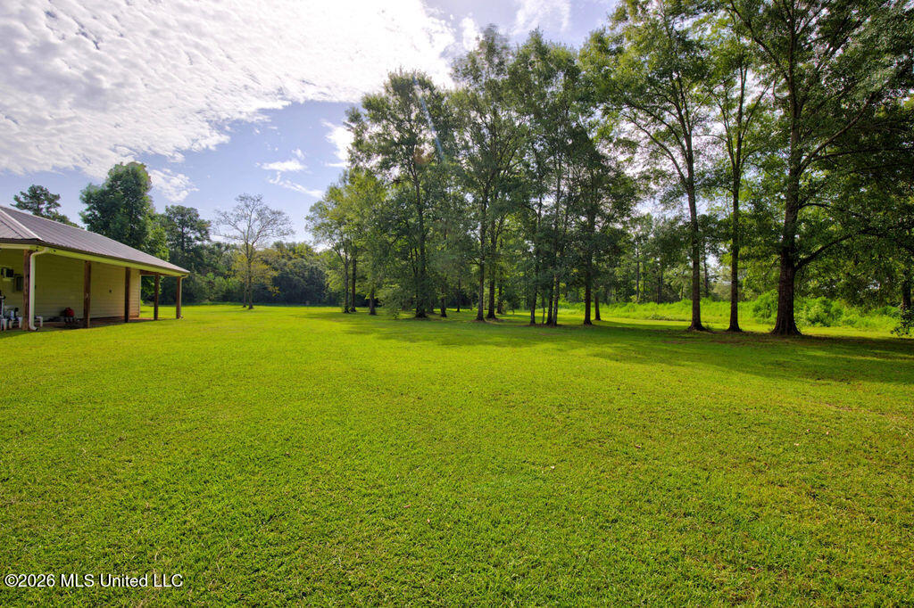 11185 Bud Lee Property Photo 101