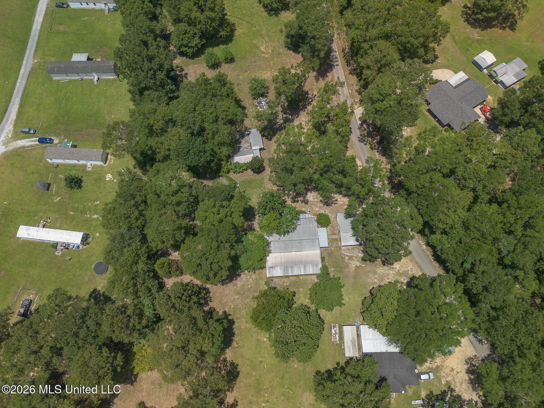 2229 Perkinston-silver Run Road Property Photo 5