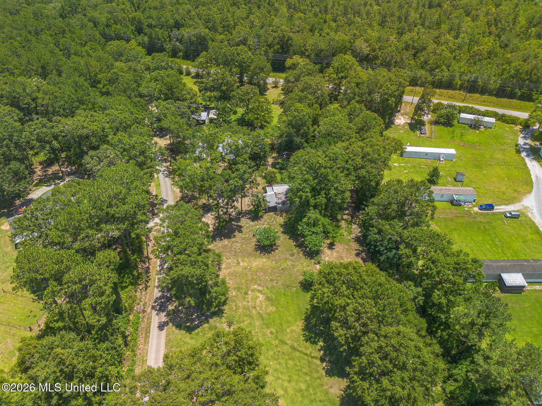 2229 Perkinston-silver Run Road Property Photo 8