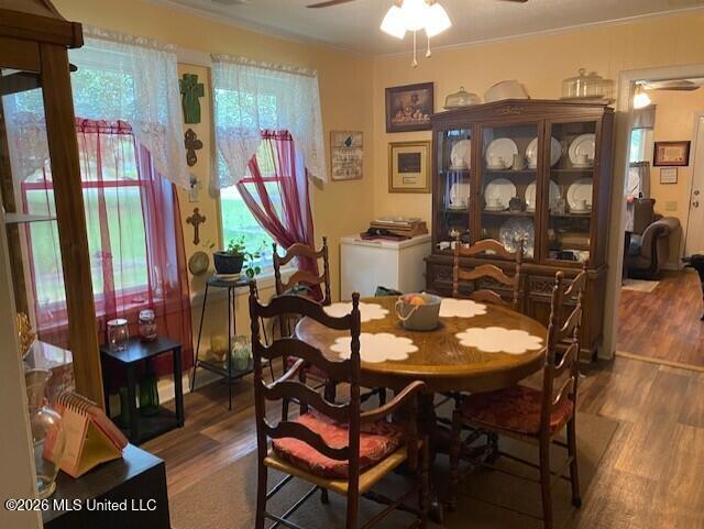 509 Butler Street Property Photo 9