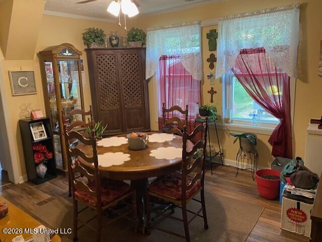 509 Butler Street Property Photo 10