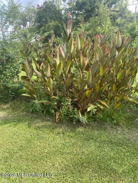 509 Butler Street Property Photo 44