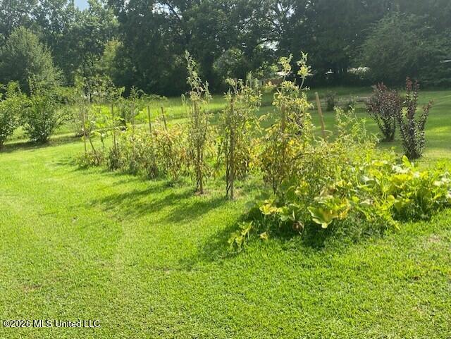 509 Butler Street Property Photo 47