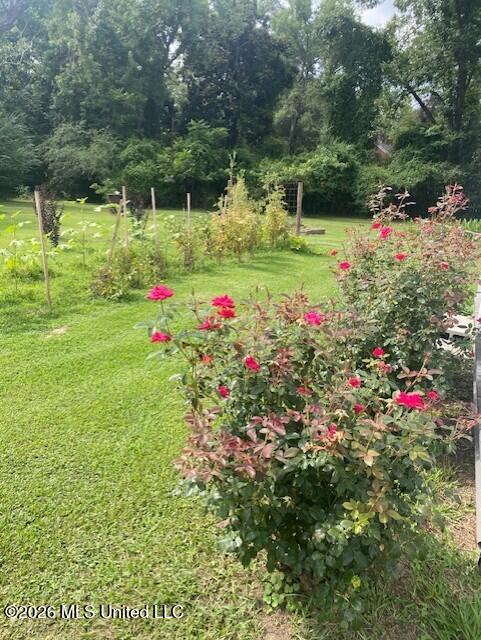 509 Butler Street Property Photo 48