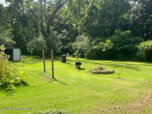 509 Butler Street Property Photo 49