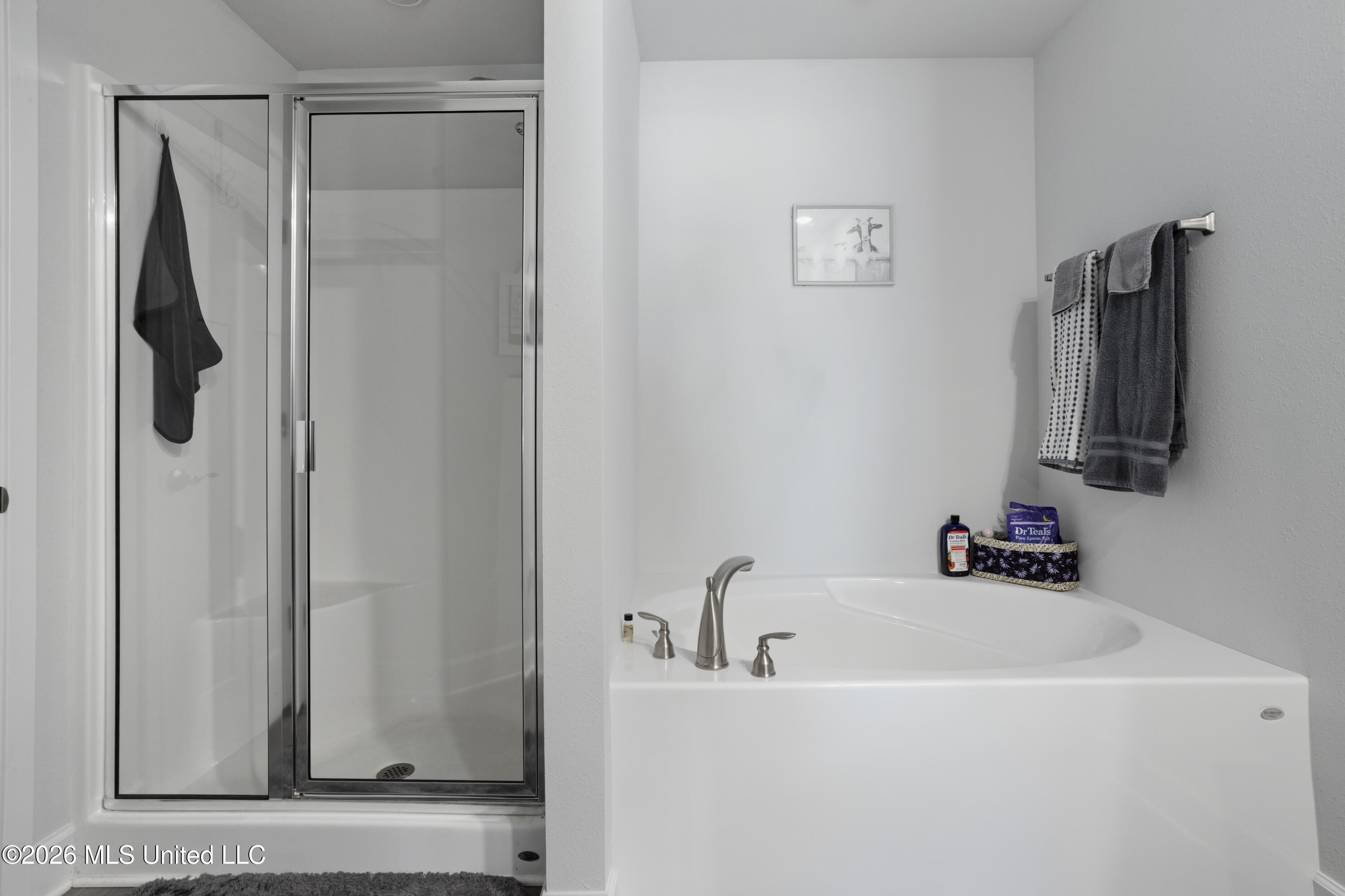 18052 Tiffany Renee Drive Property Photo 13