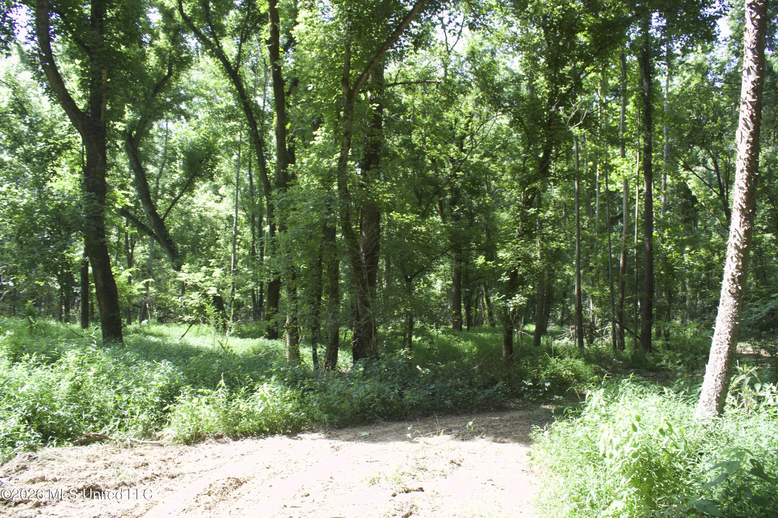 0 Ms-35 Property Photo 4