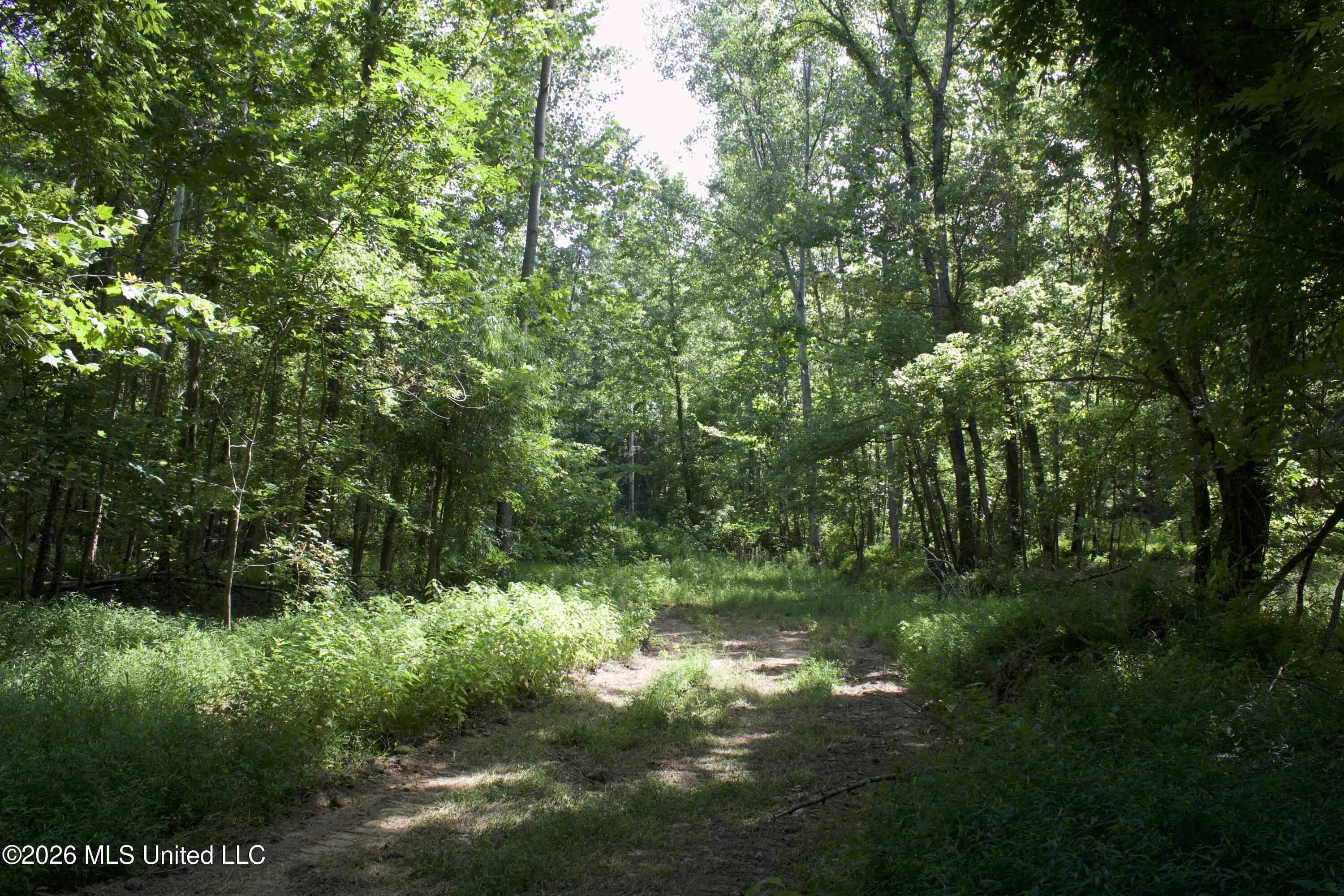 0 Ms-35 Property Photo 5
