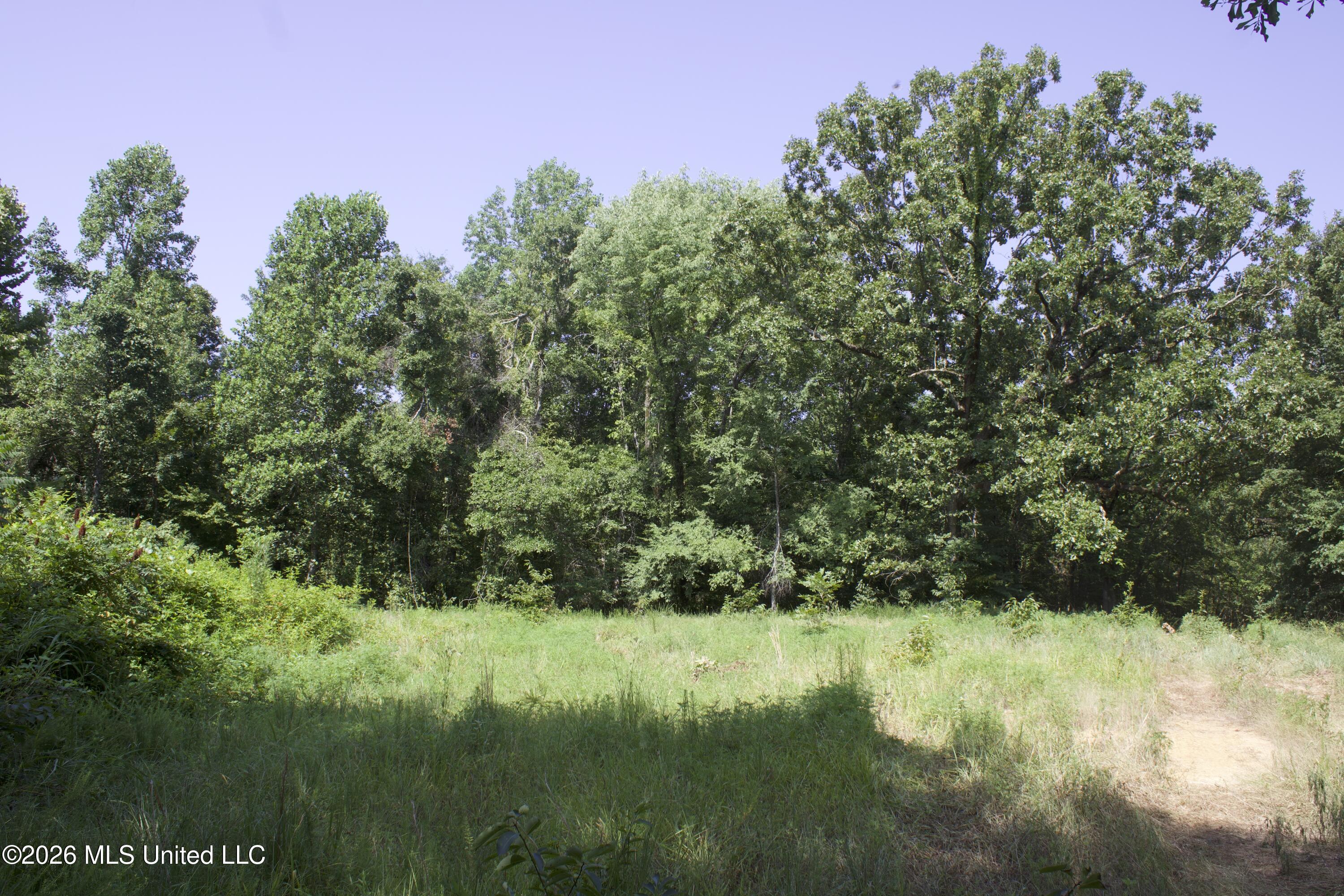 0 Ms-35 Property Photo 11
