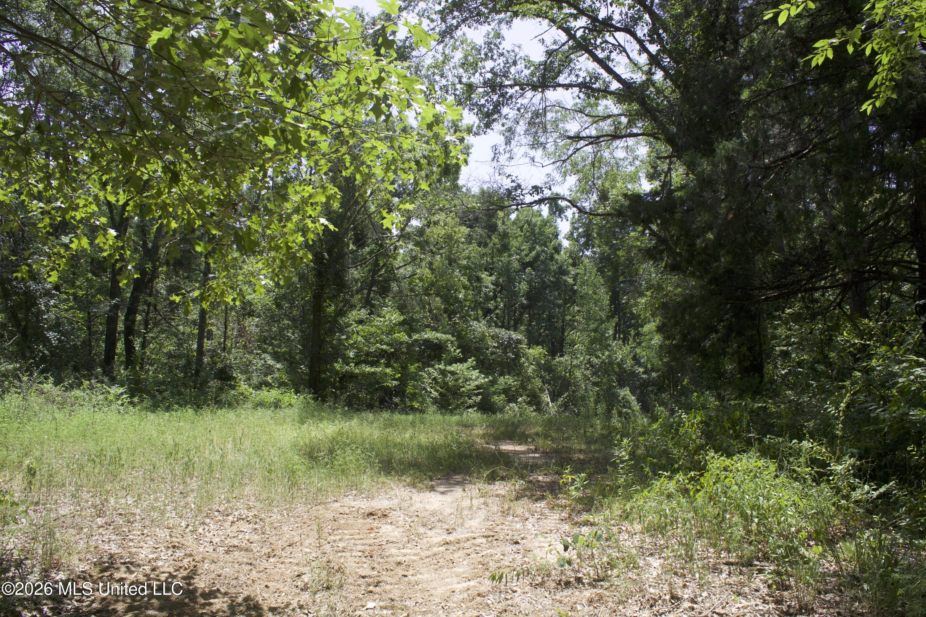 0 Ms-35 Property Photo 32