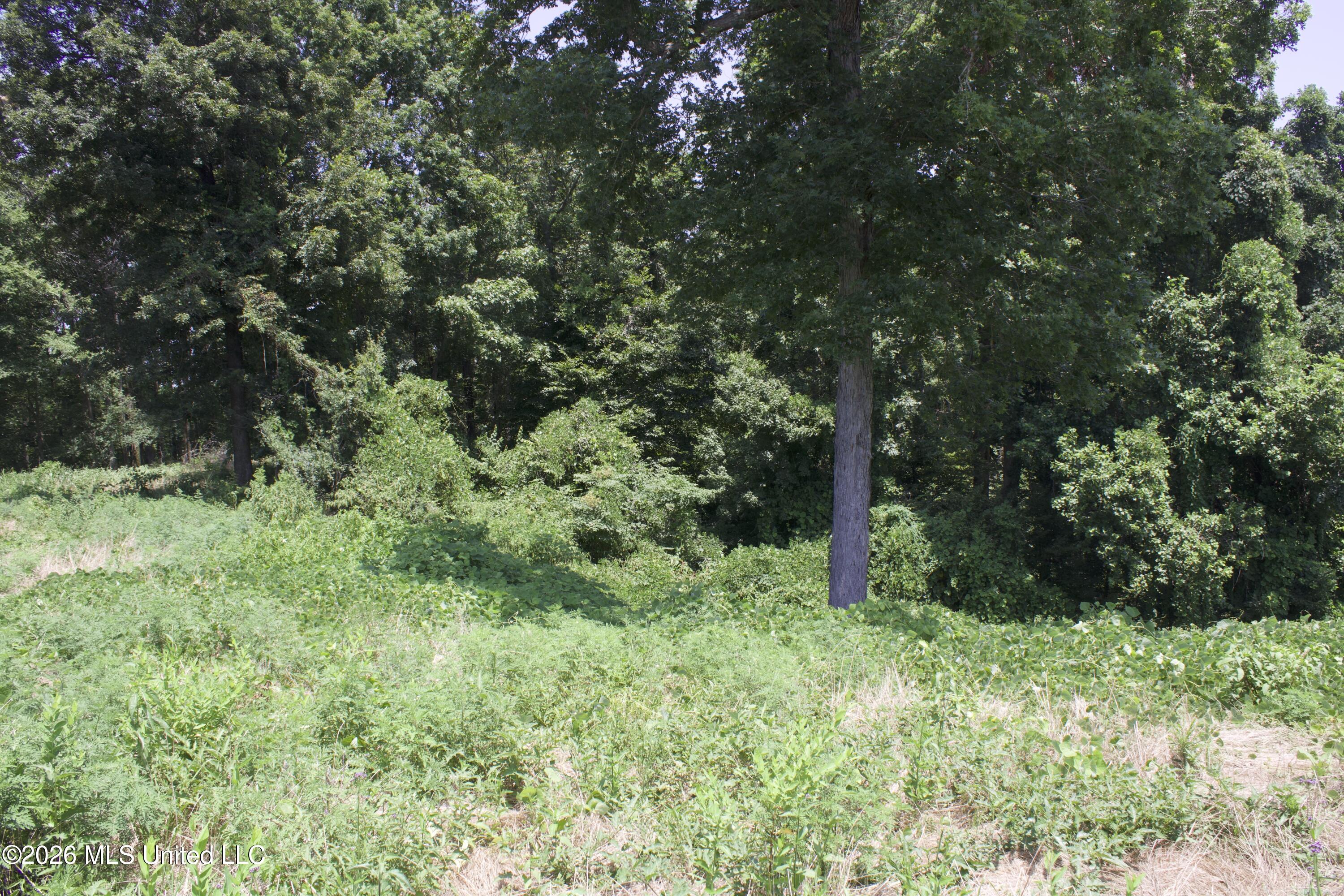 0 Ms-35 Property Photo 33