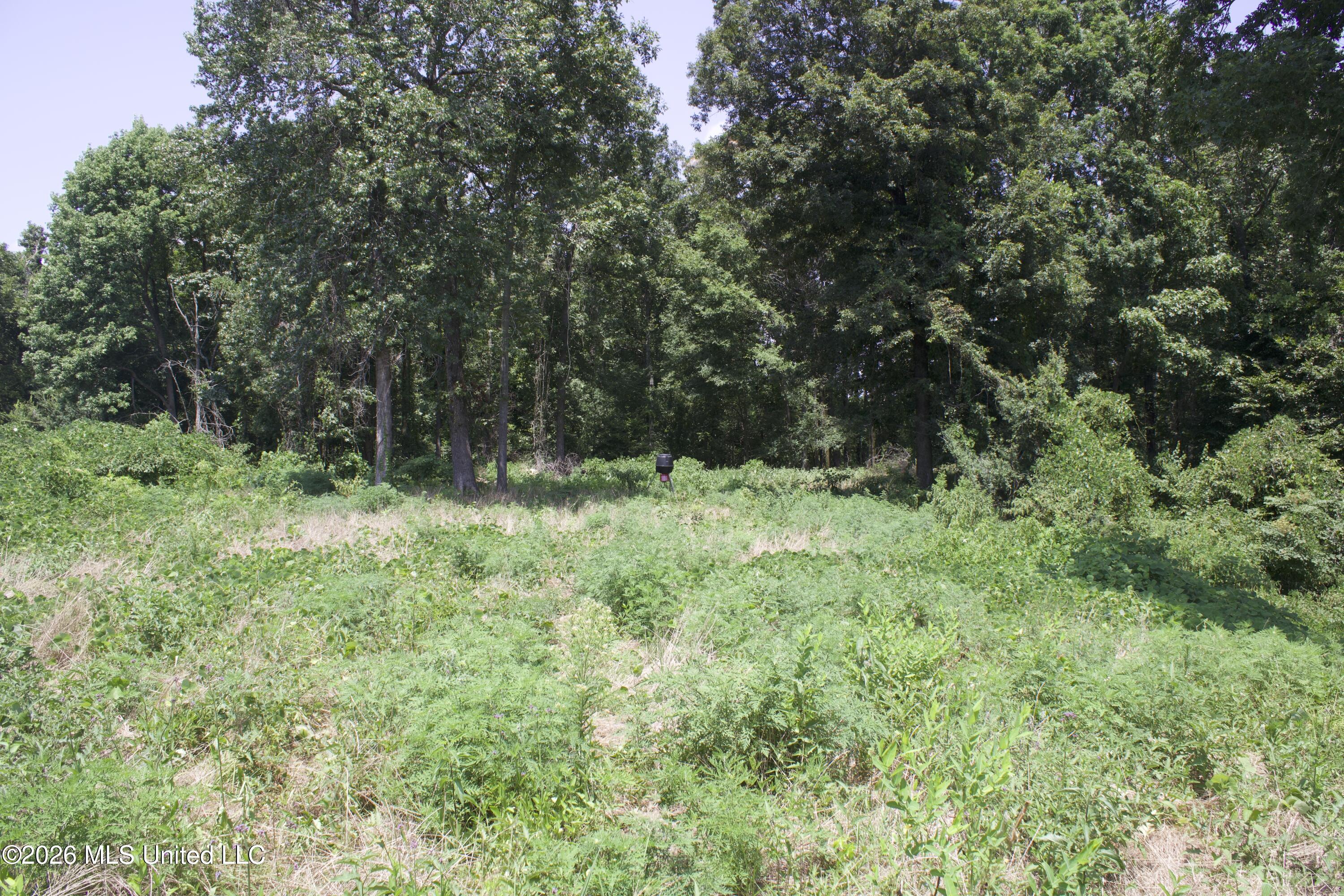 0 Ms-35 Property Photo 34