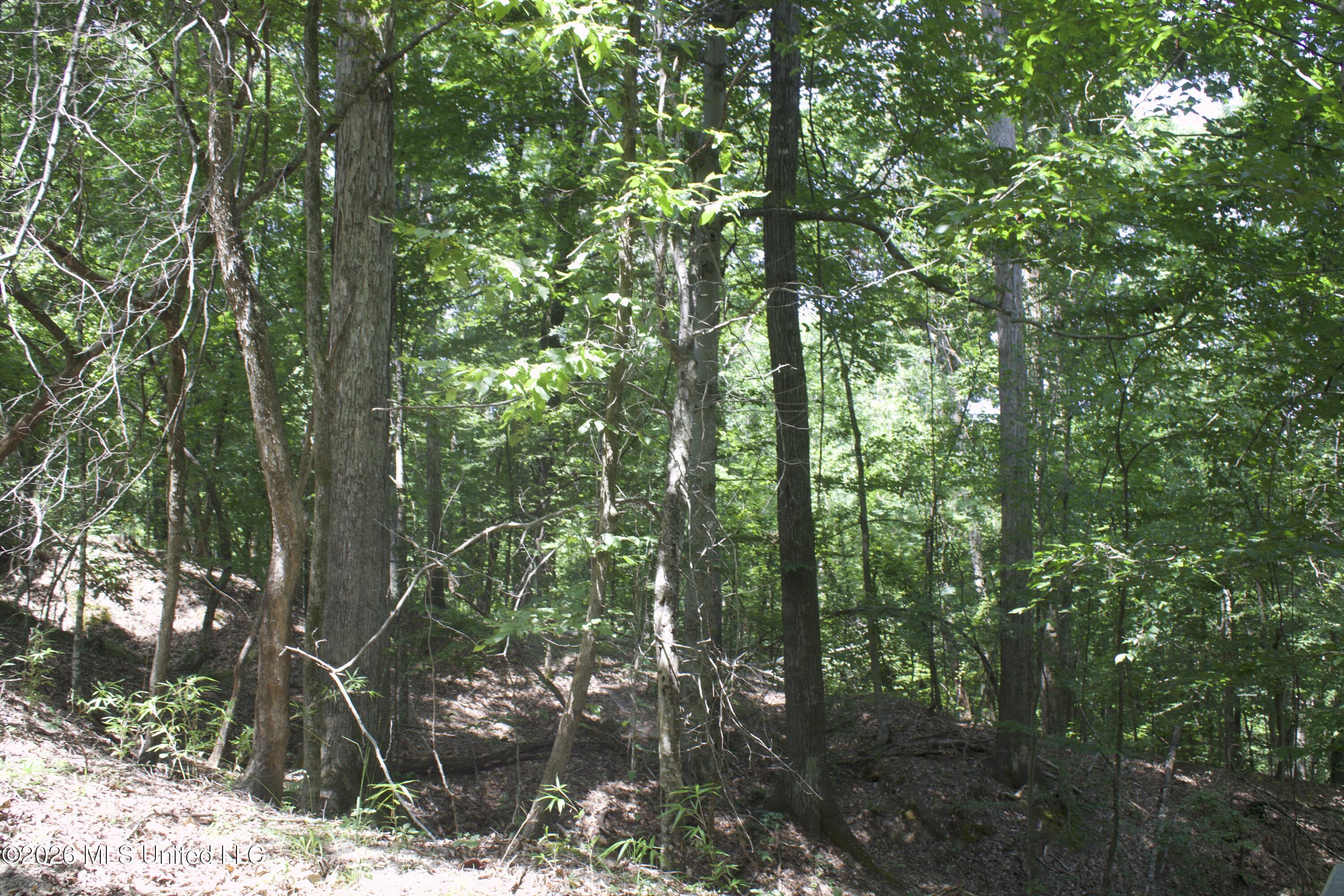 0 Ms-35 Property Photo 37