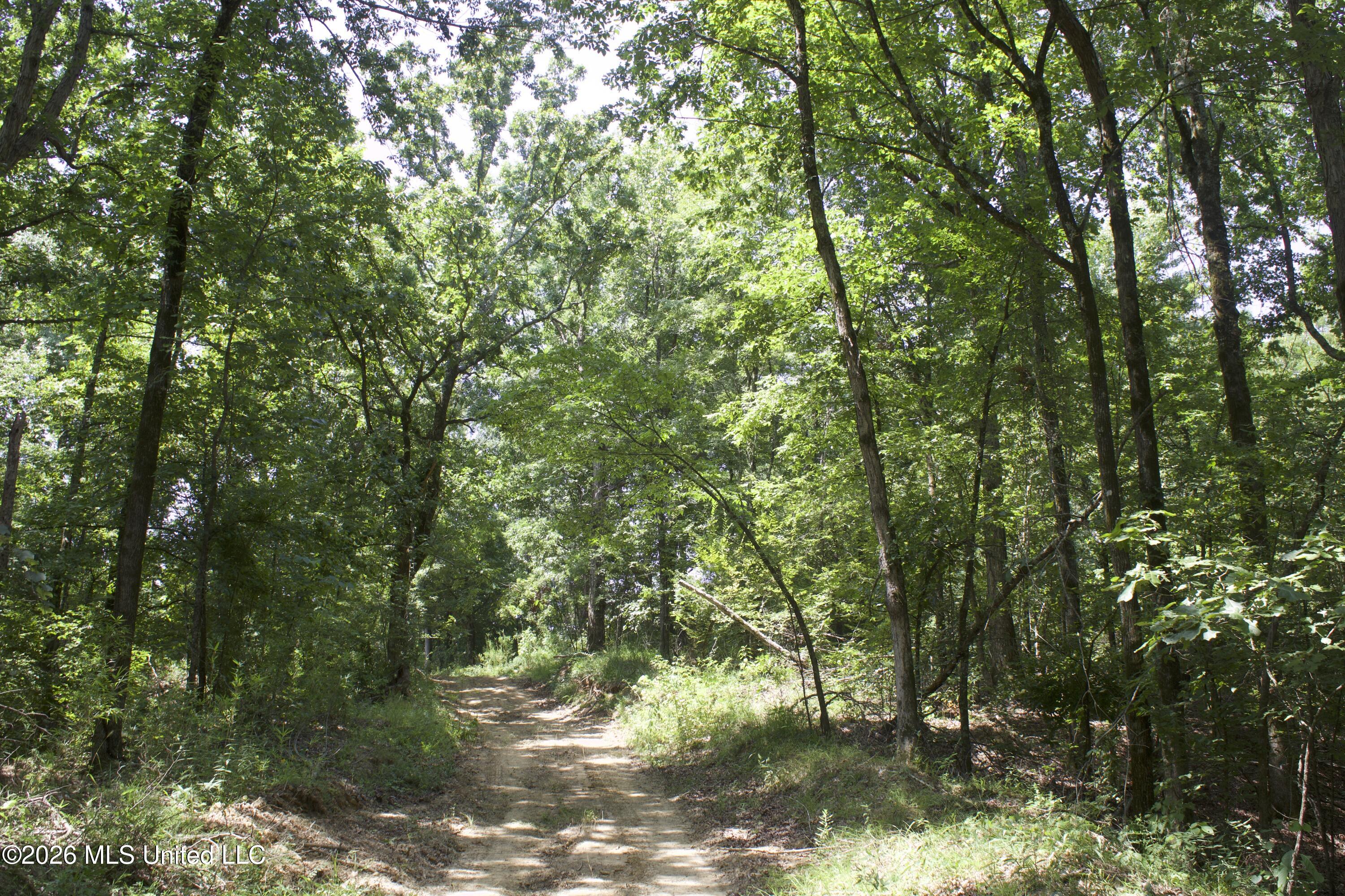 0 Ms-35 Property Photo 39