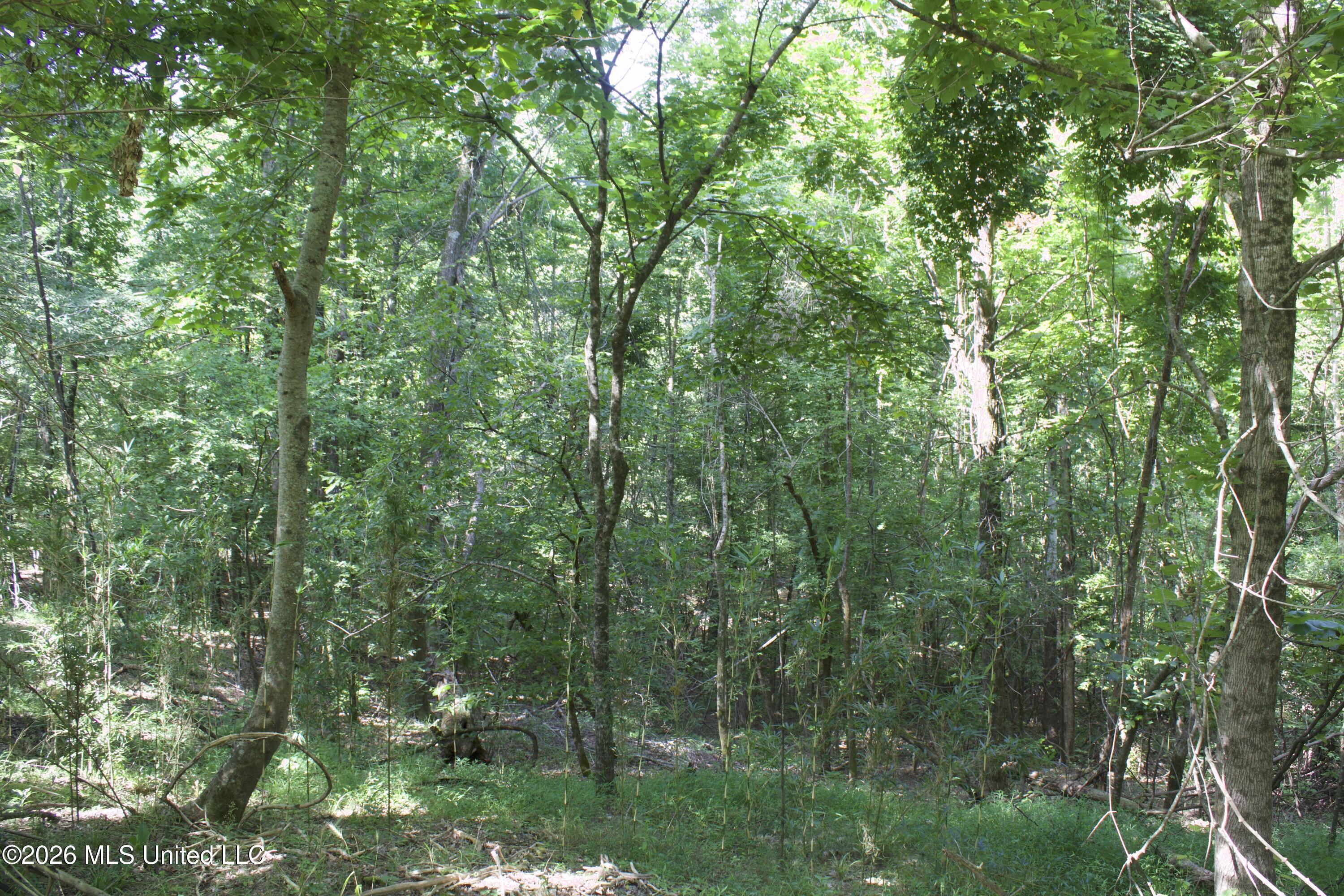 0 Ms-35 Property Photo 62