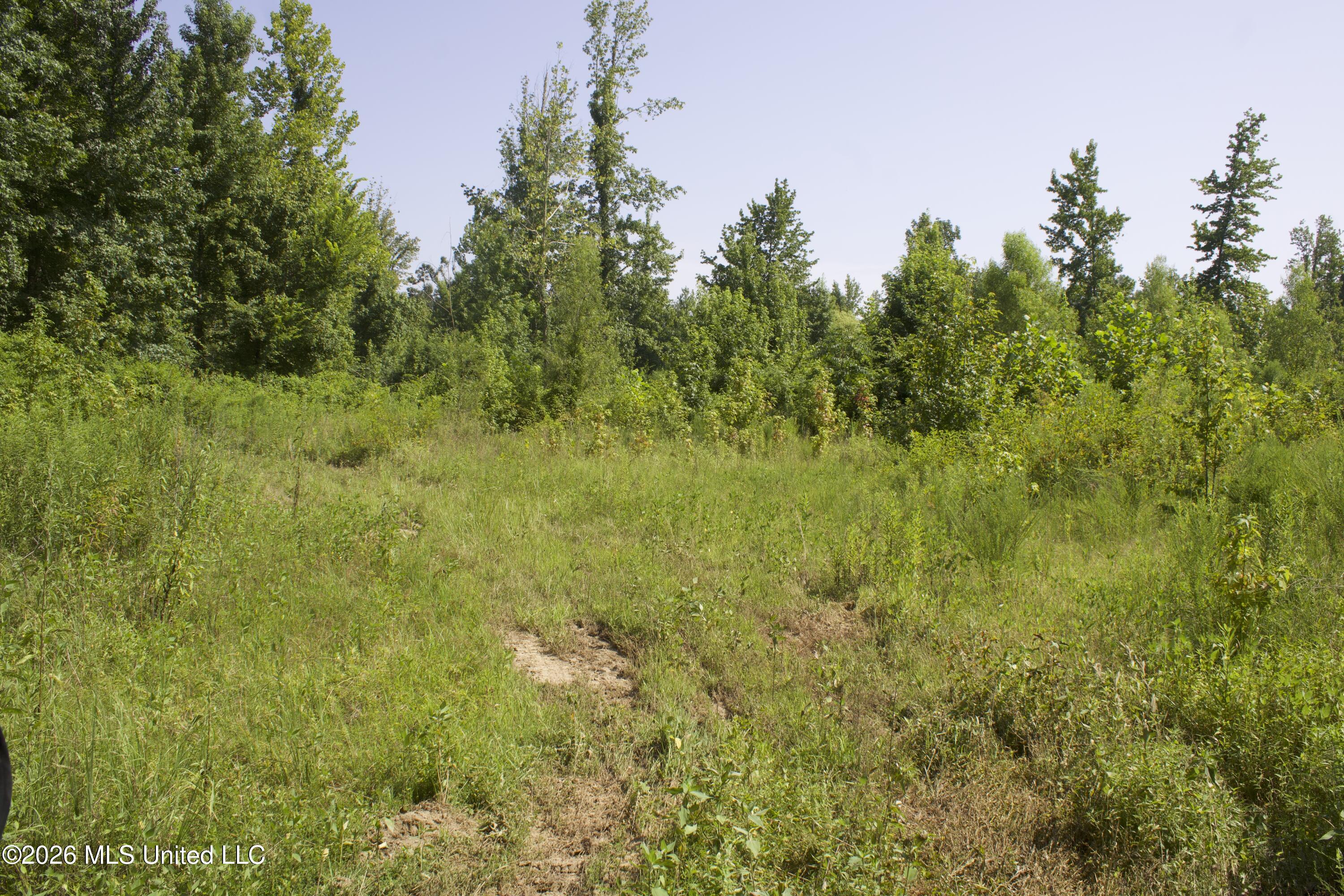 0 Ms-35 Property Photo 64
