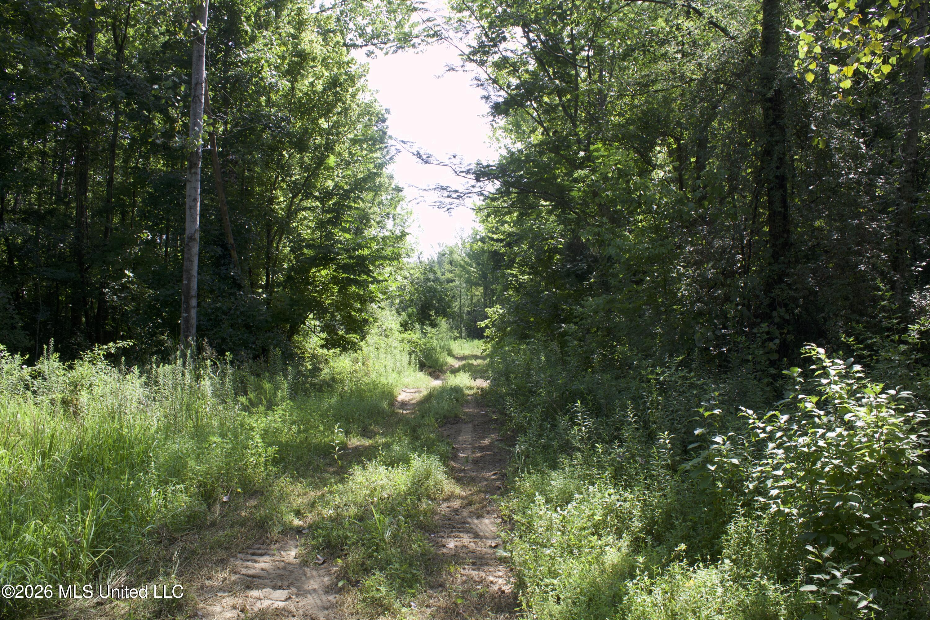 0 Ms-35 Property Photo 65