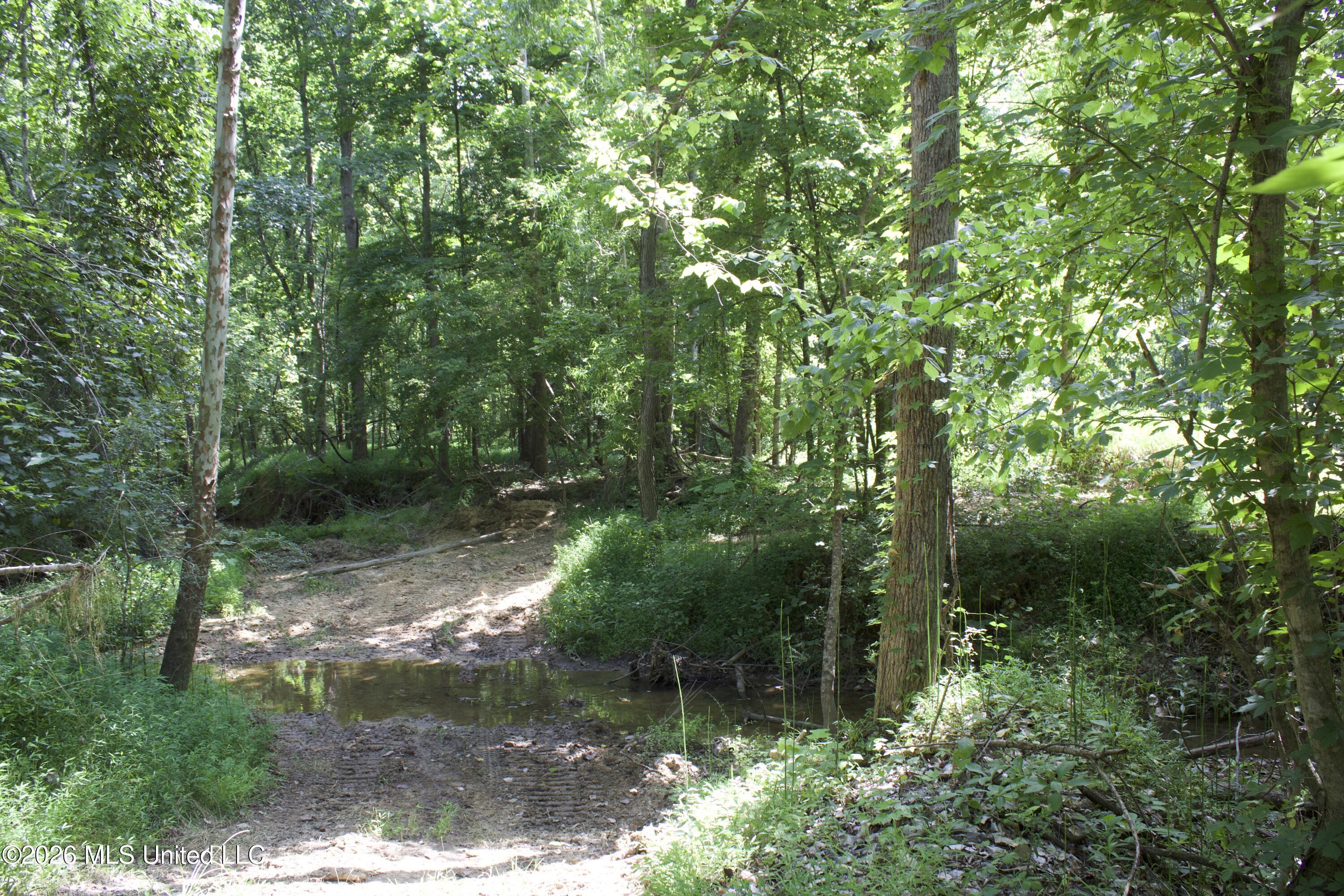 0 Ms-35 Property Photo 67