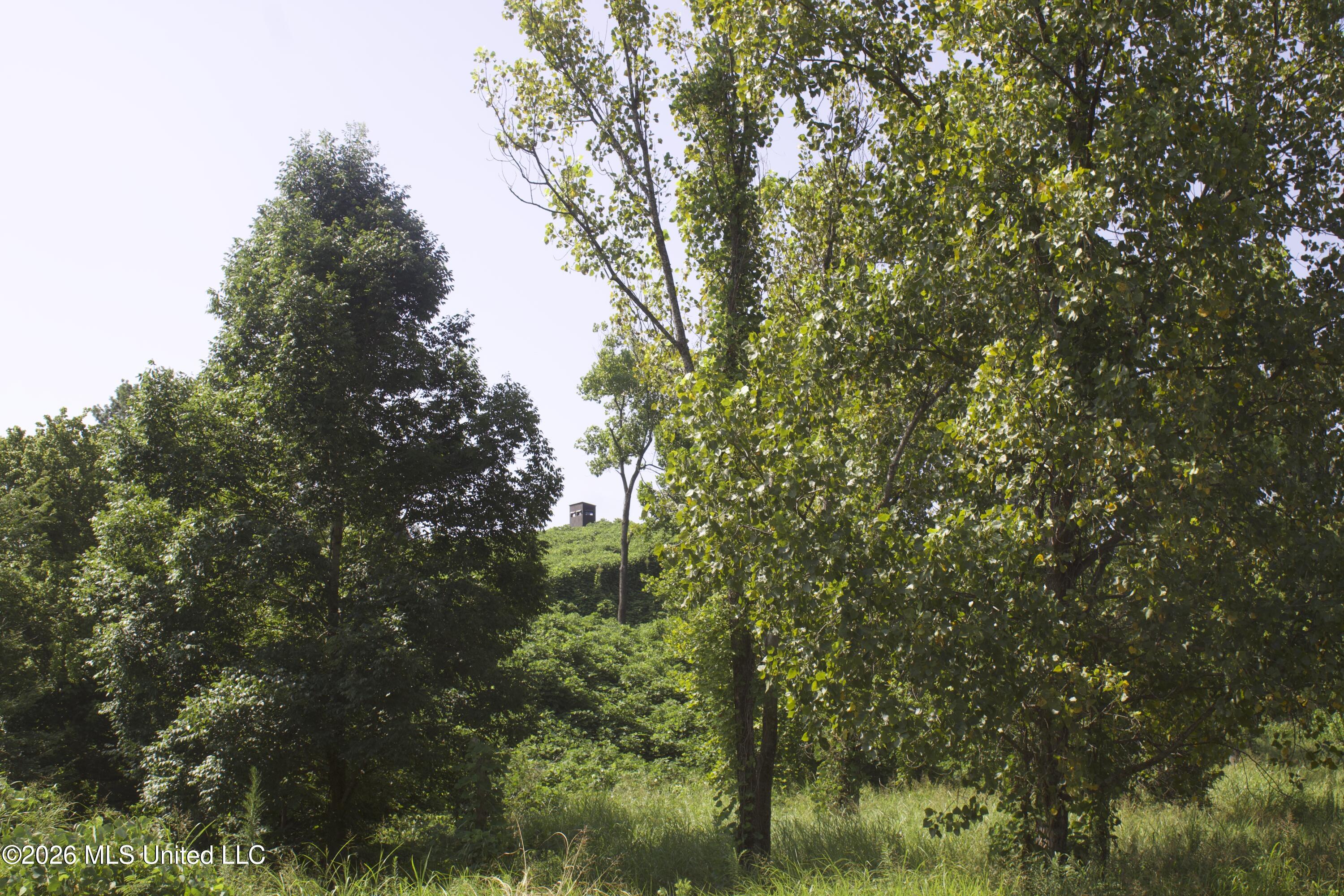 0 Ms-35 Property Photo 69