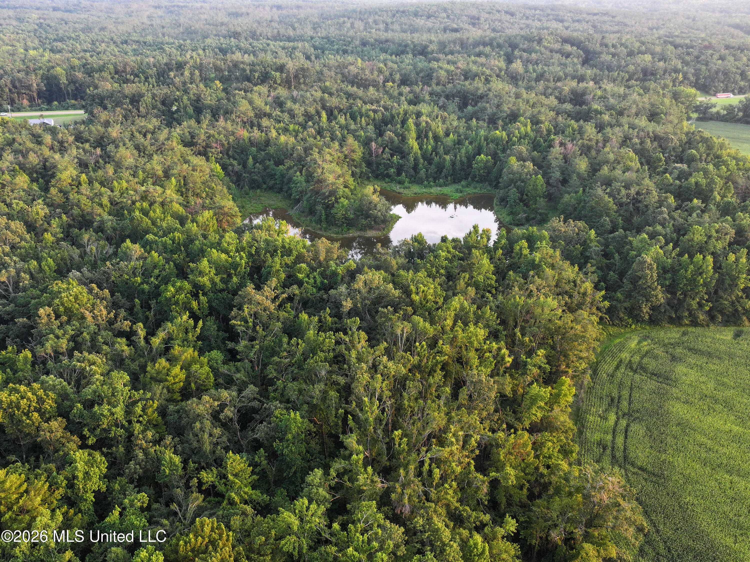 Highway 7 Property Photo 15