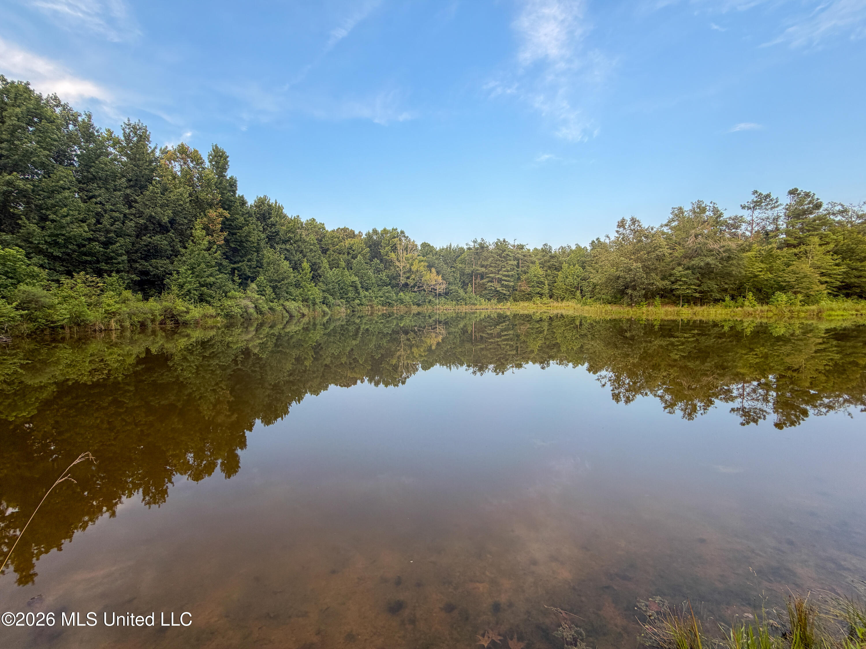 Highway 7 Property Photo 22