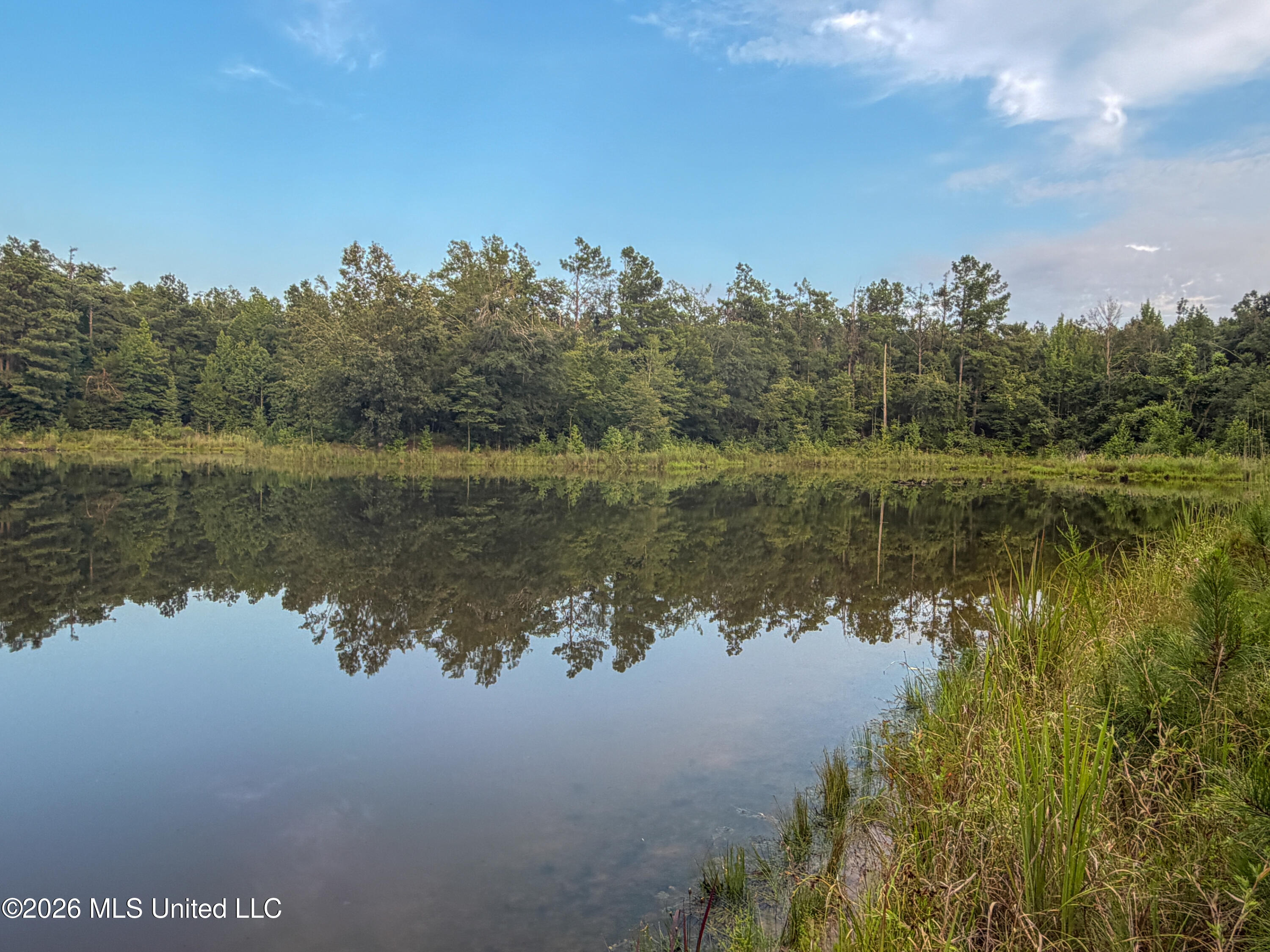 Highway 7 Property Photo 23