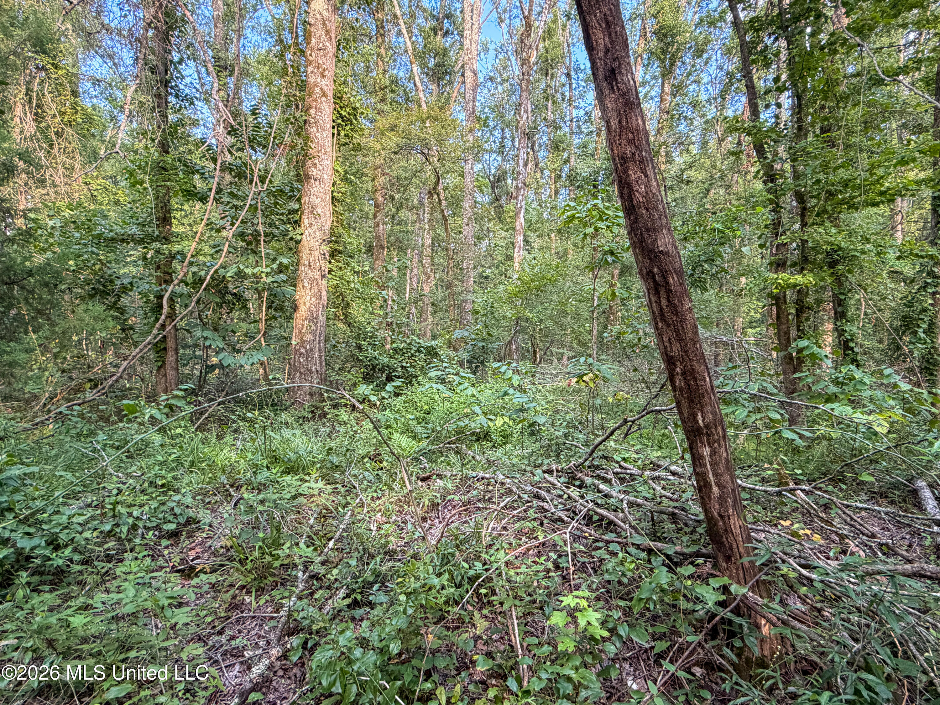 Highway 7 Property Photo 25
