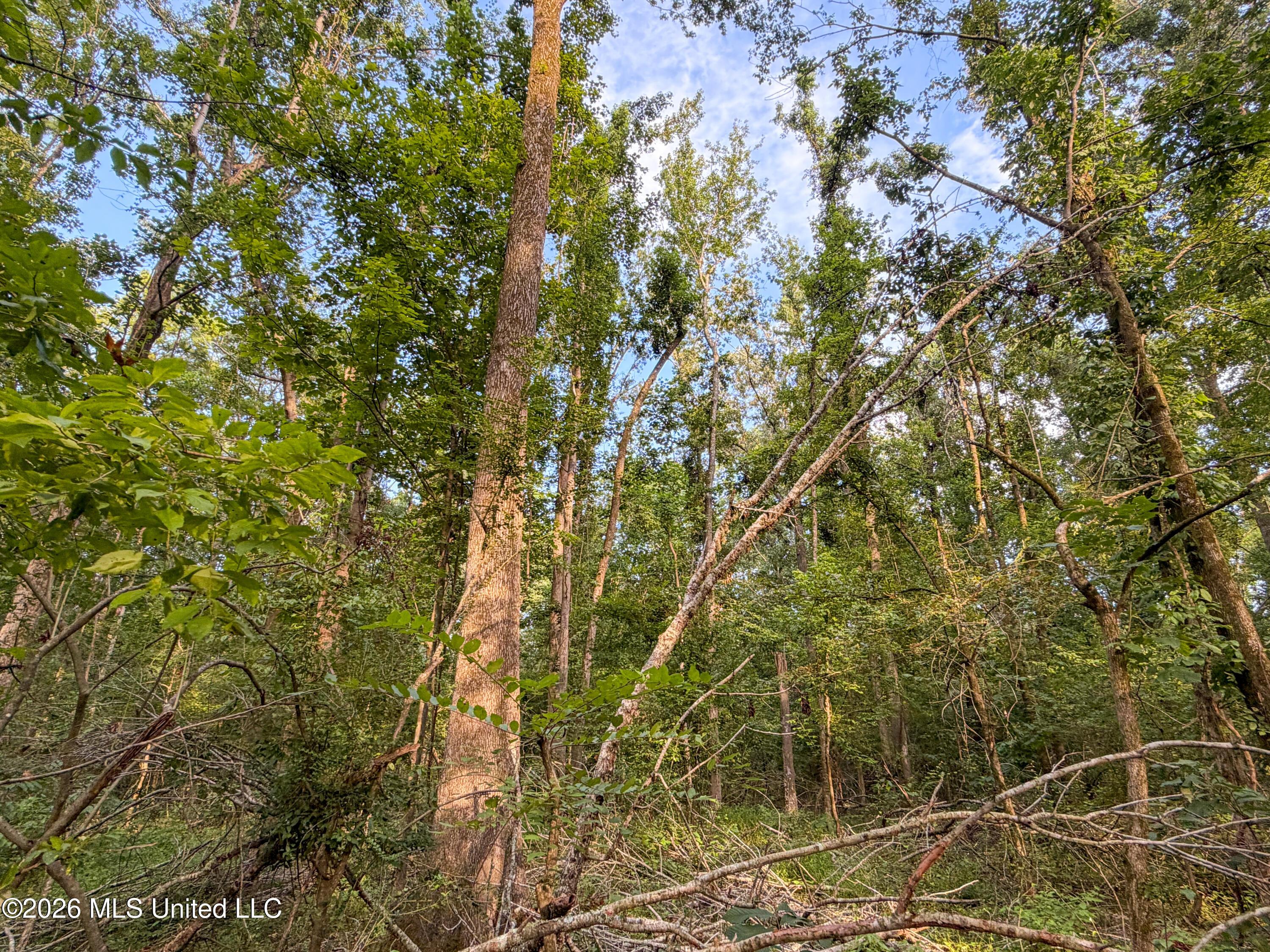 Highway 7 Property Photo 27