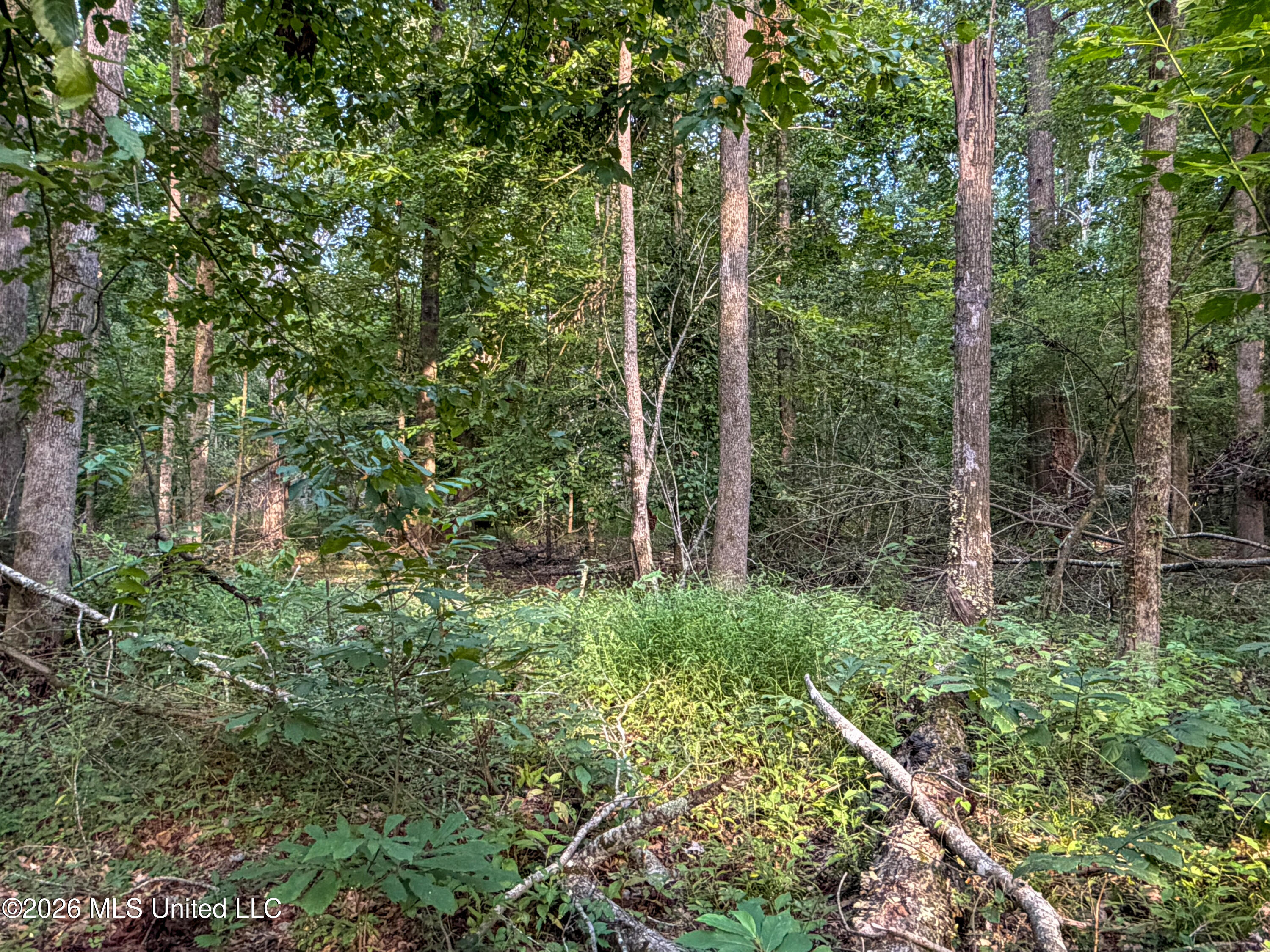 Highway 7 Property Photo 28